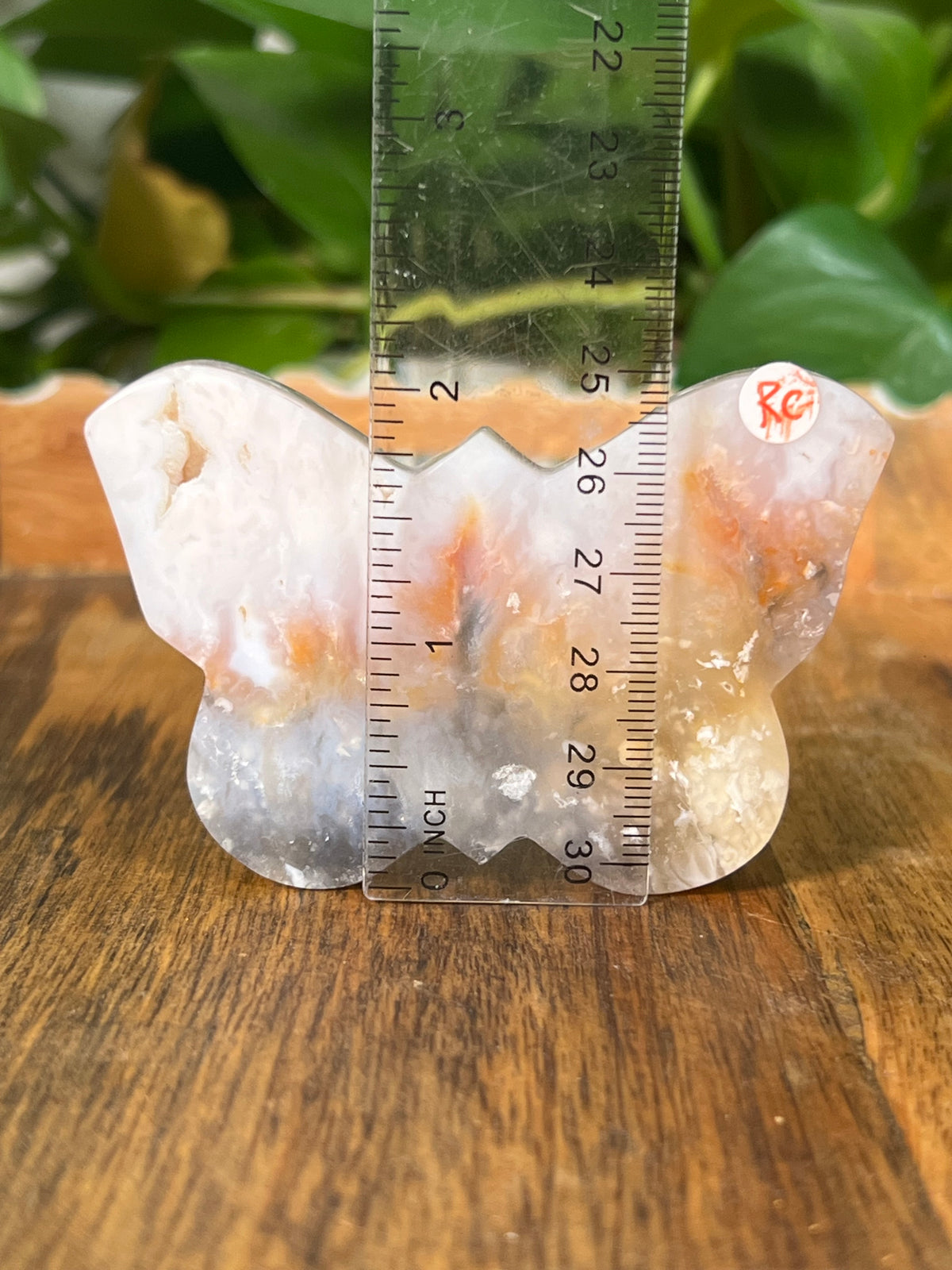 Rainbow Plume Agate Small Self Standing Butterflies