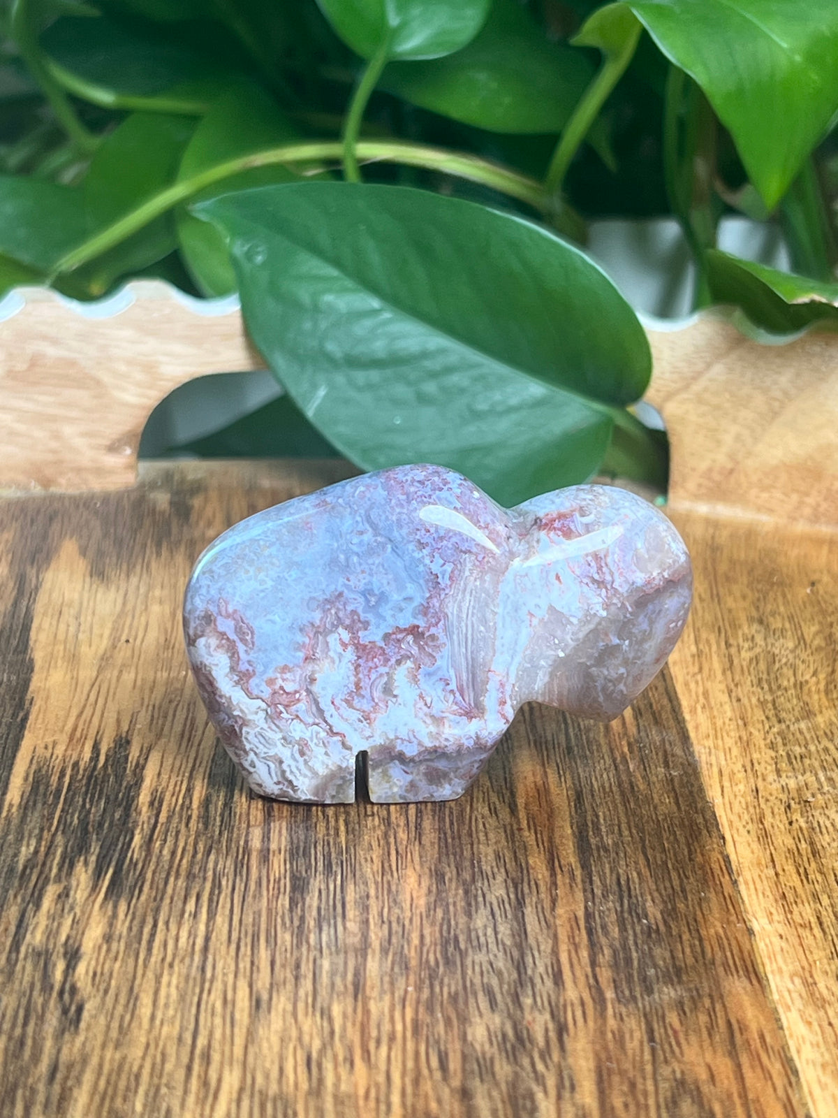 Sumatra Plume Agate Mini Buffalo: DQ