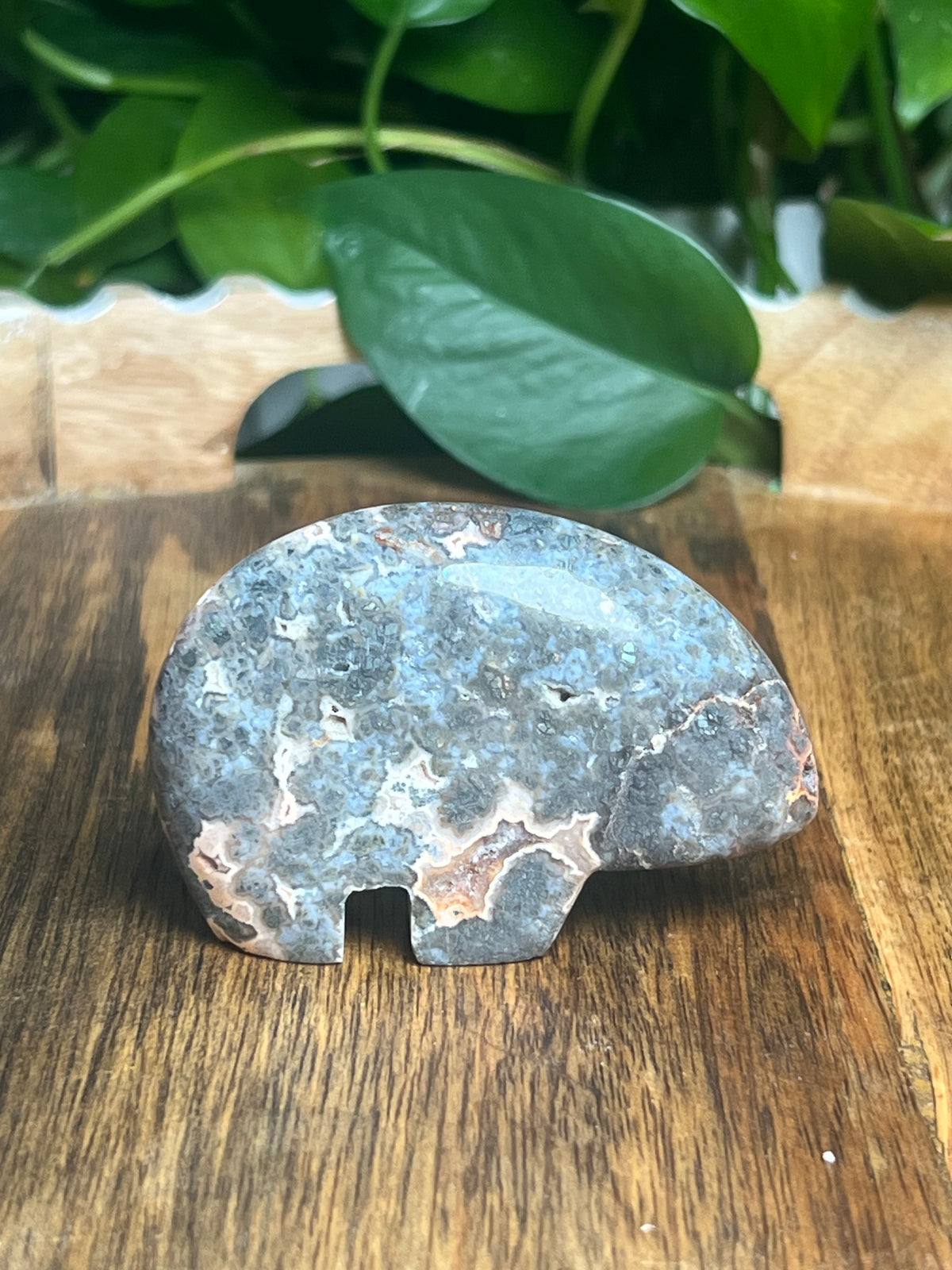 Marcasite Bear: TX