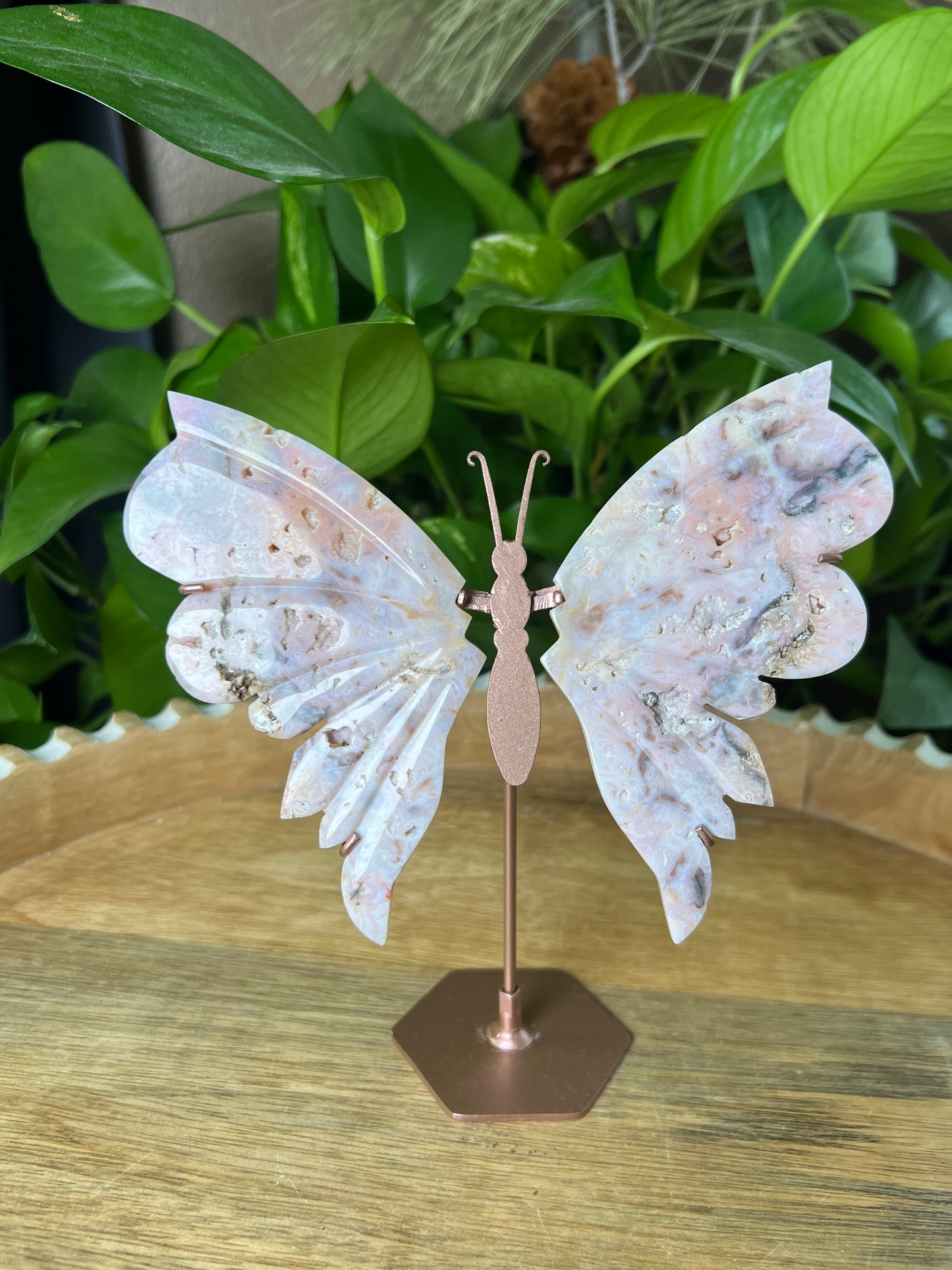 Rainbow Plume Agate Wings