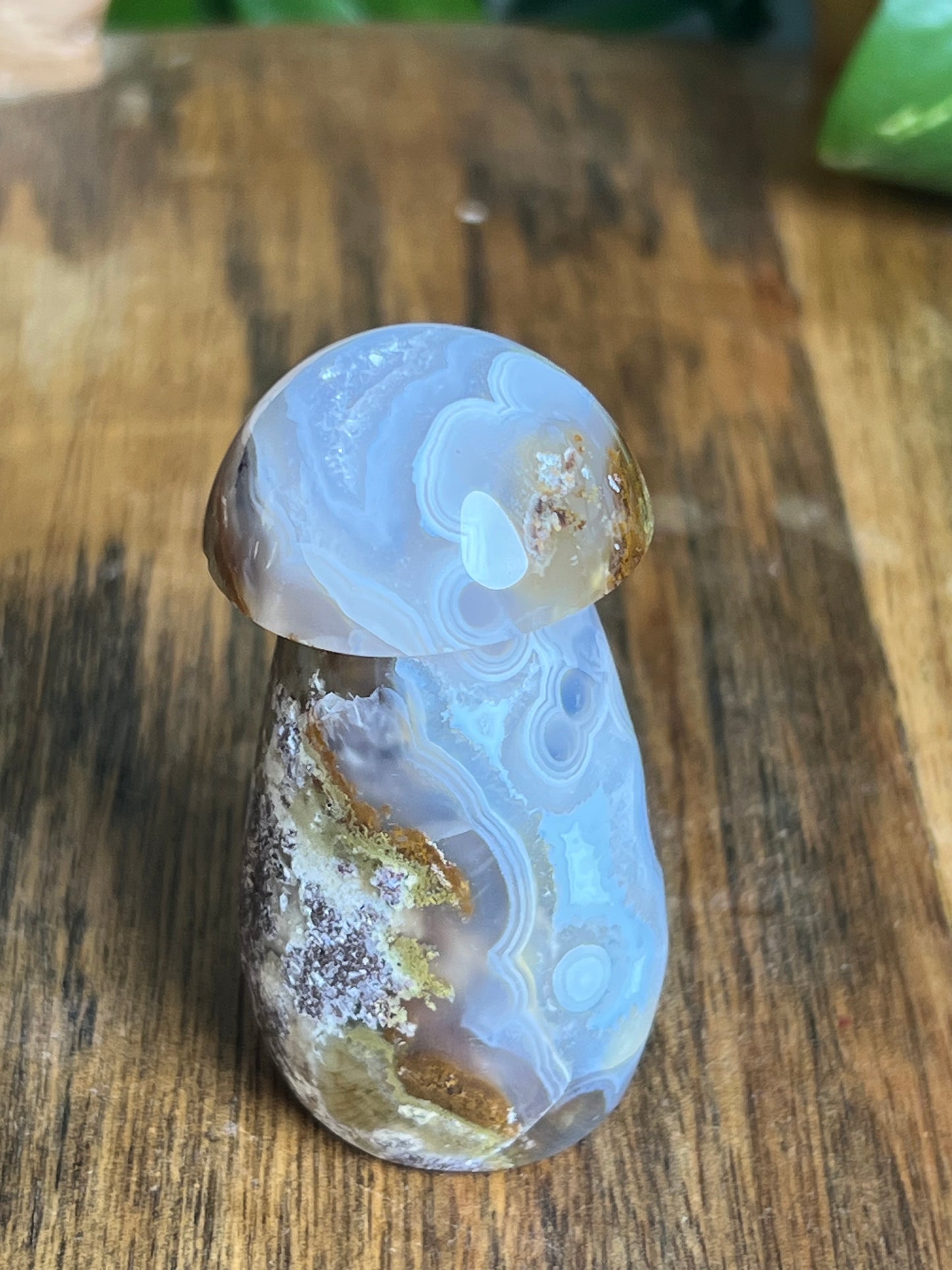 Scenic Moss Agate Mushroom