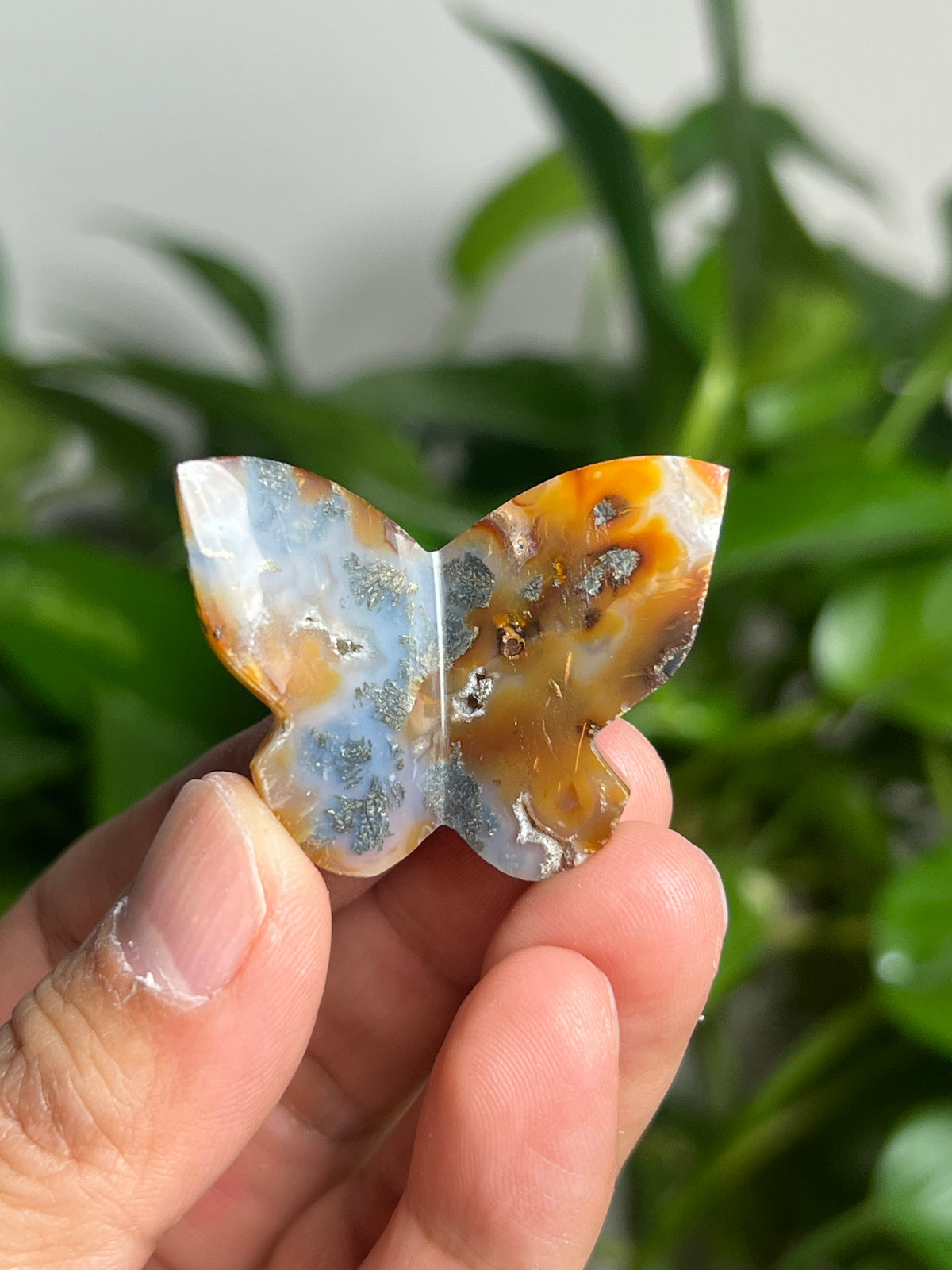 Marcasite Mini 3D Butterfly: DP
