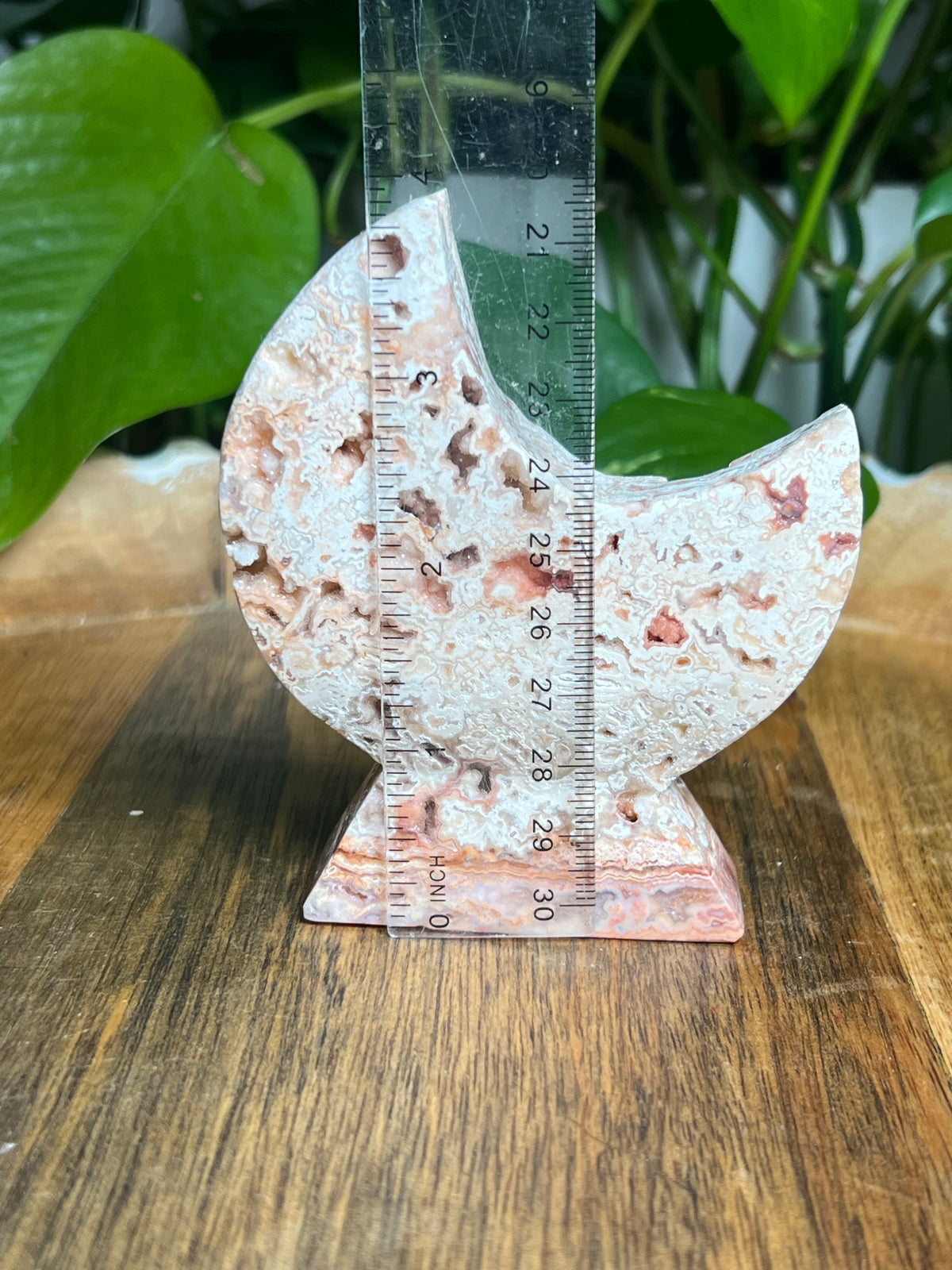 Crazy Lace Agate Self-Standing Moon: T