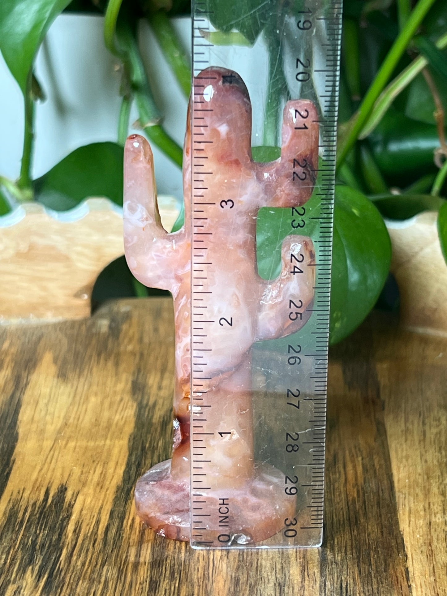 Pink Carnelian Cactus