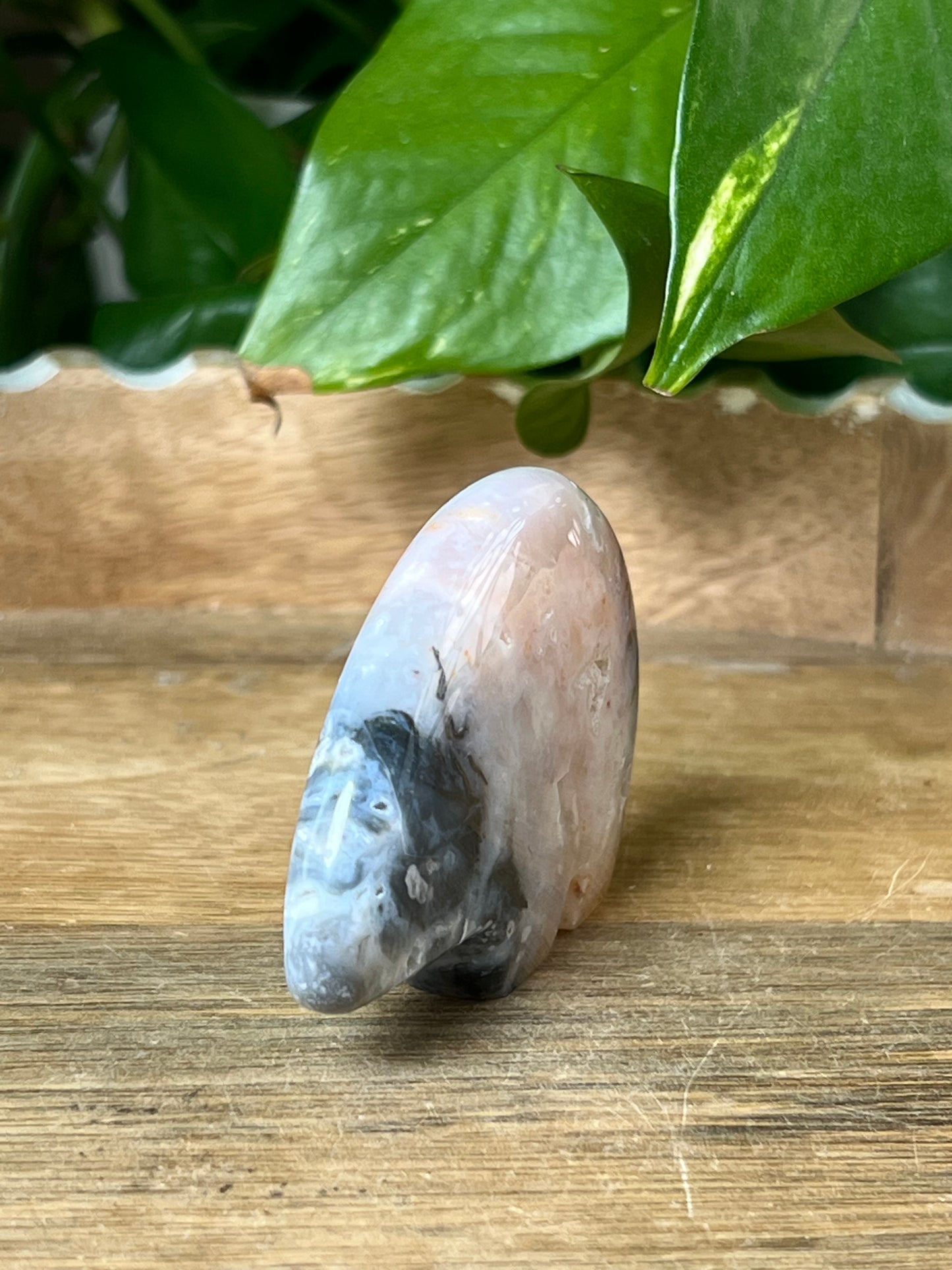 Rainbow Plume Agate Bear