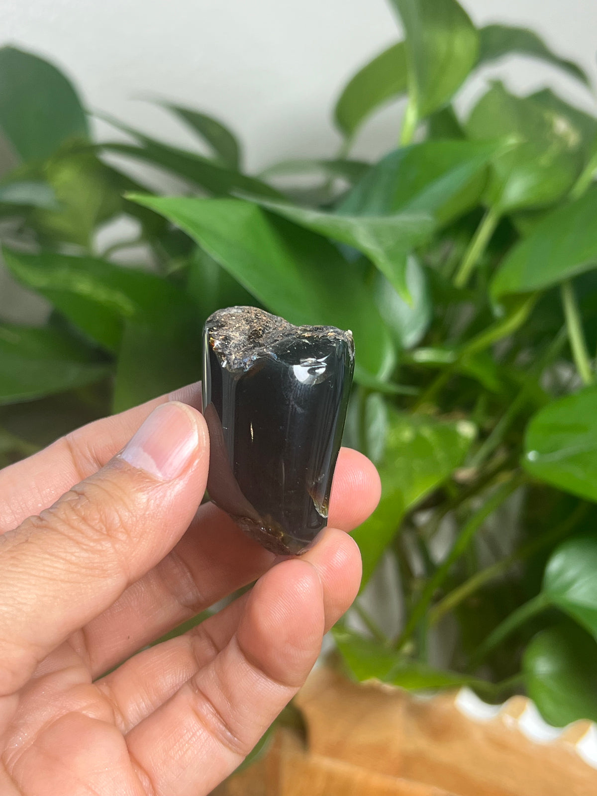 Blue Amber Freeform: SE