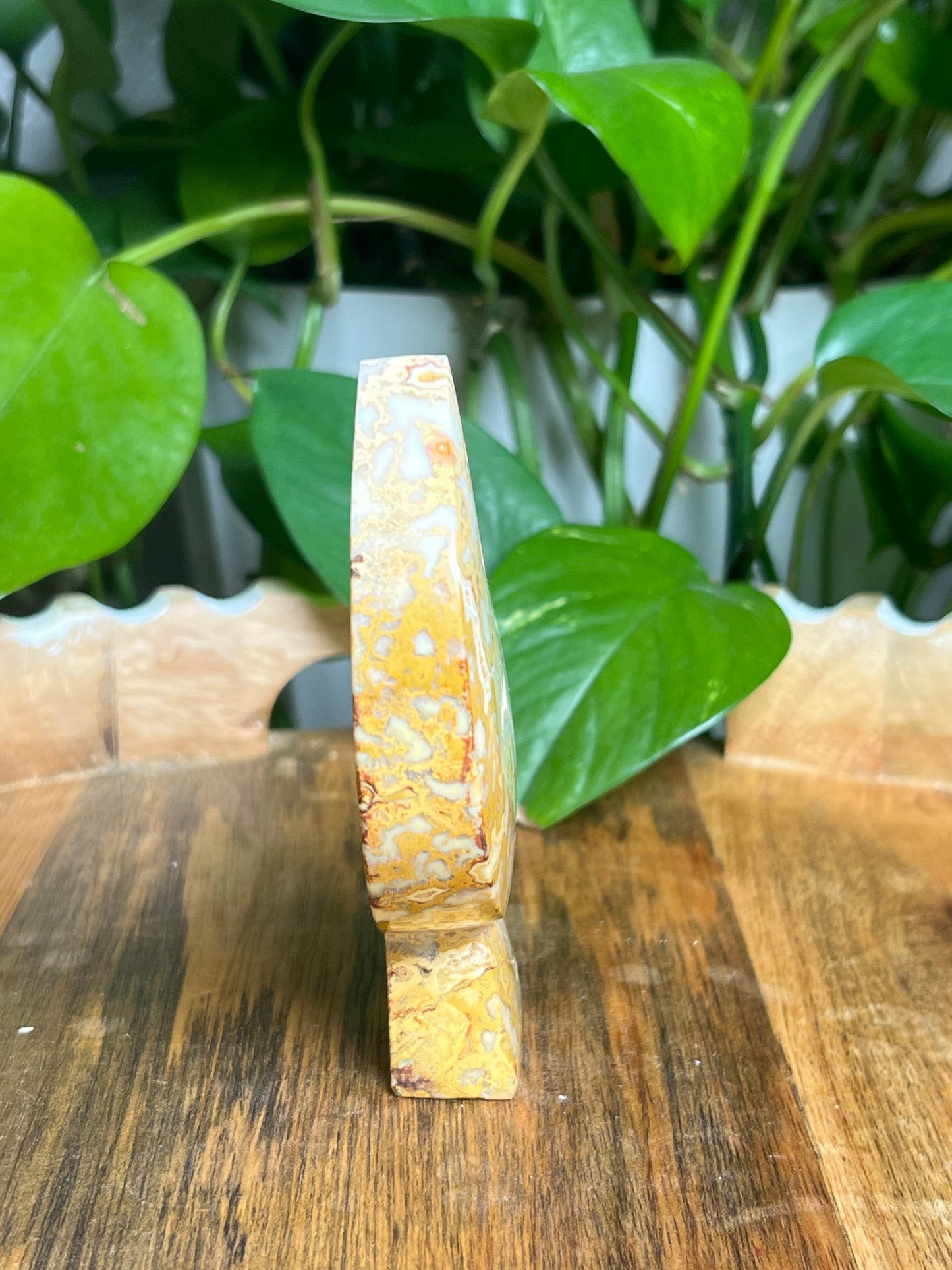 Yellow Crazy Lace Agate Self-Standing Moon: A