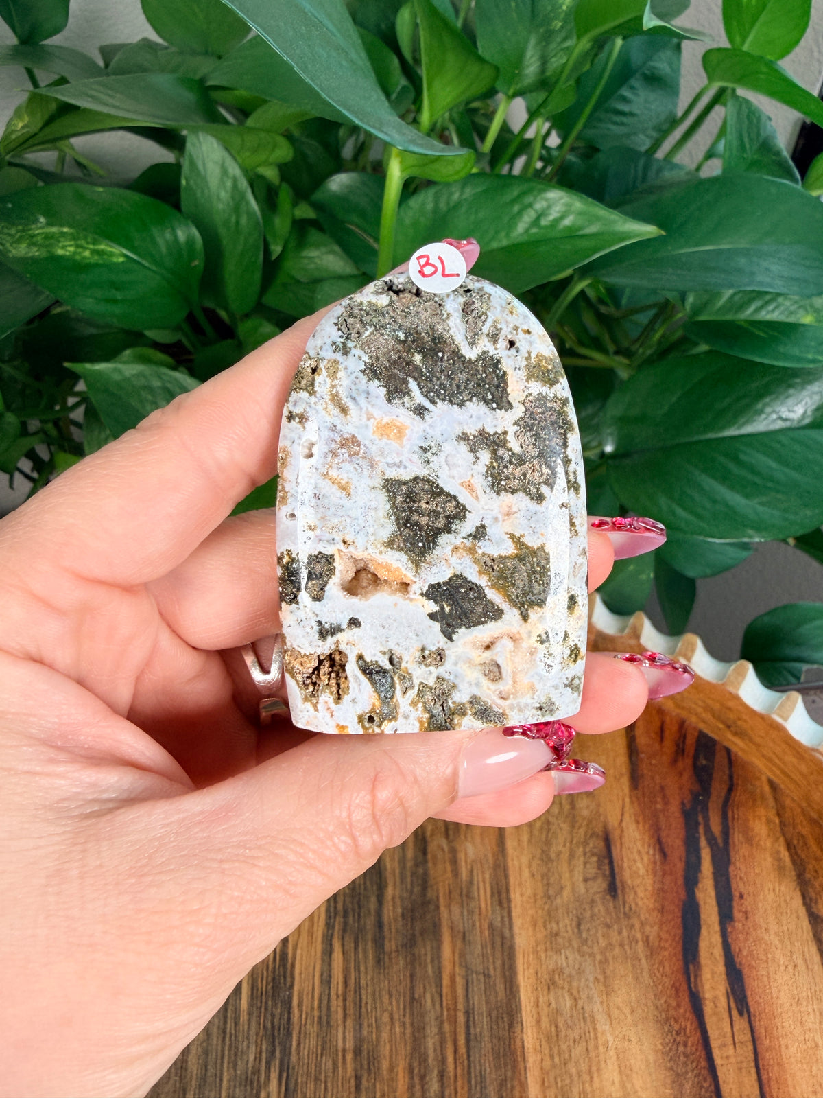 Sea Jasper Mini Freeforms