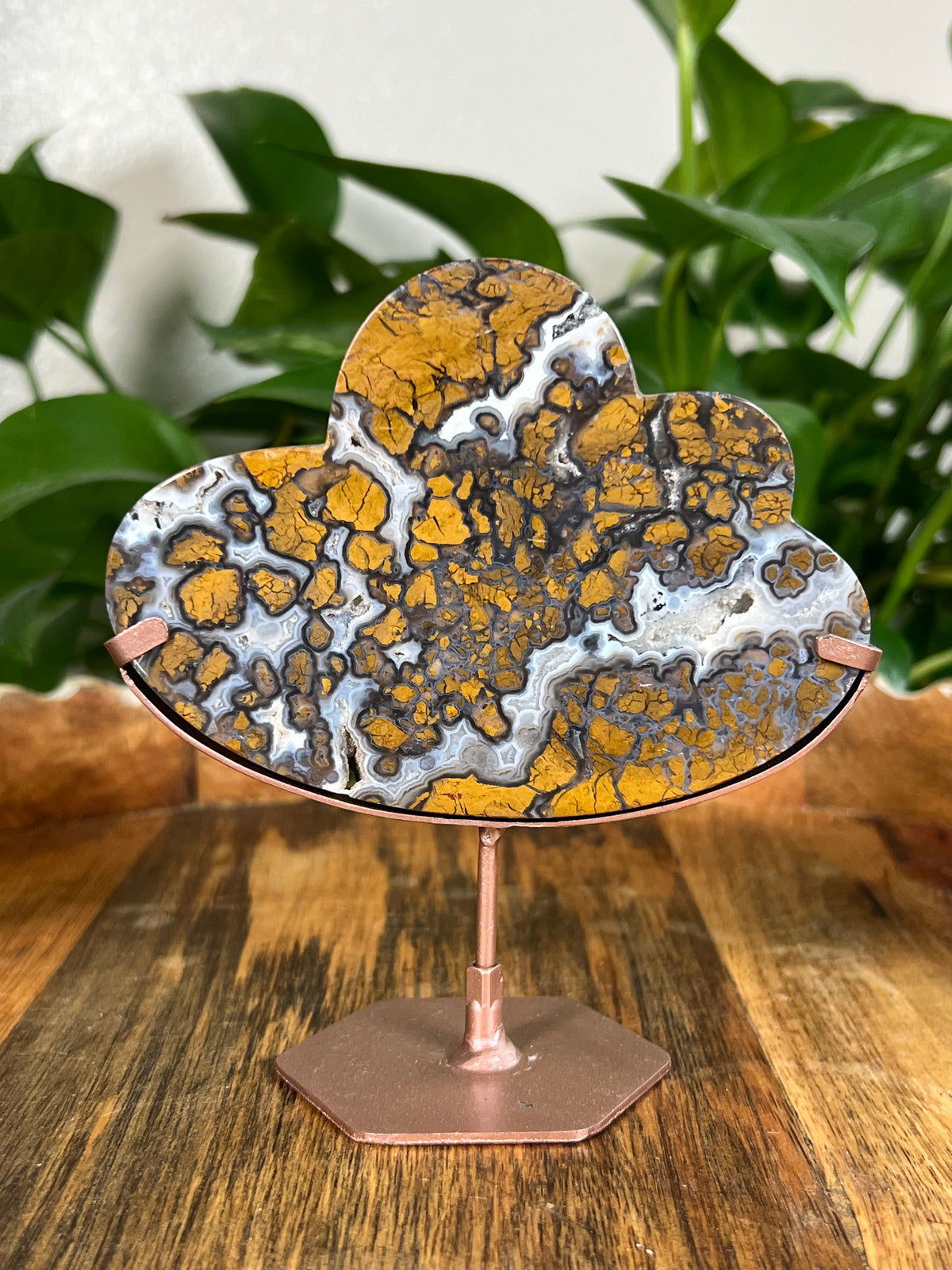 Brecciated Jasper Clouds