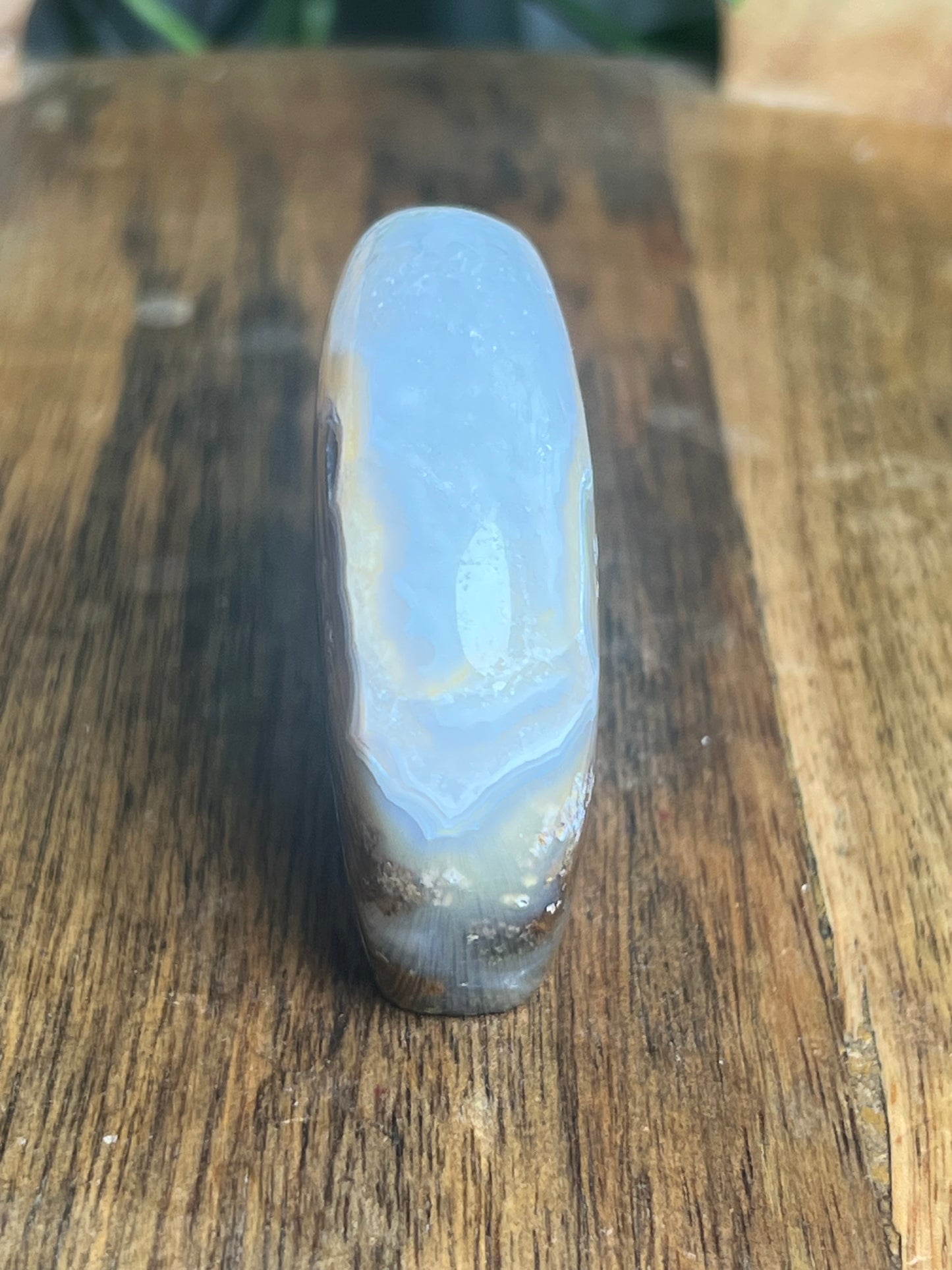 Scenic Moss Agate Bear NS