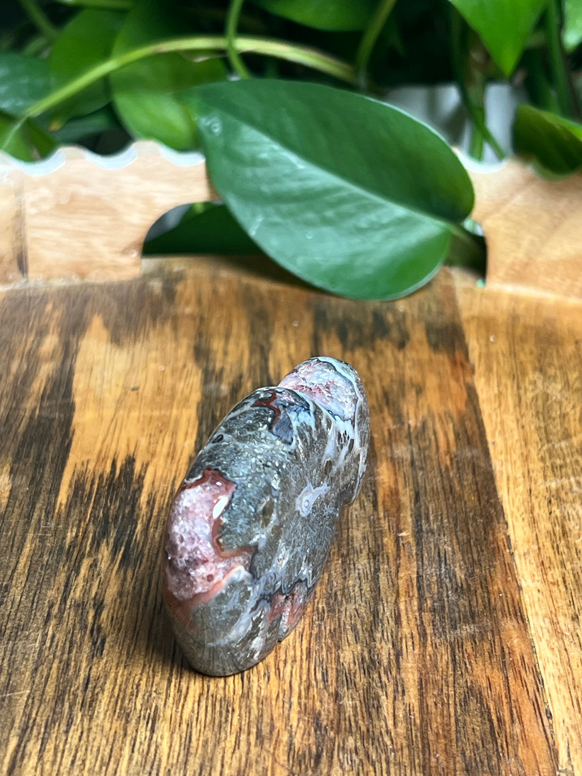 Marcasite Mini Buffalo: ML