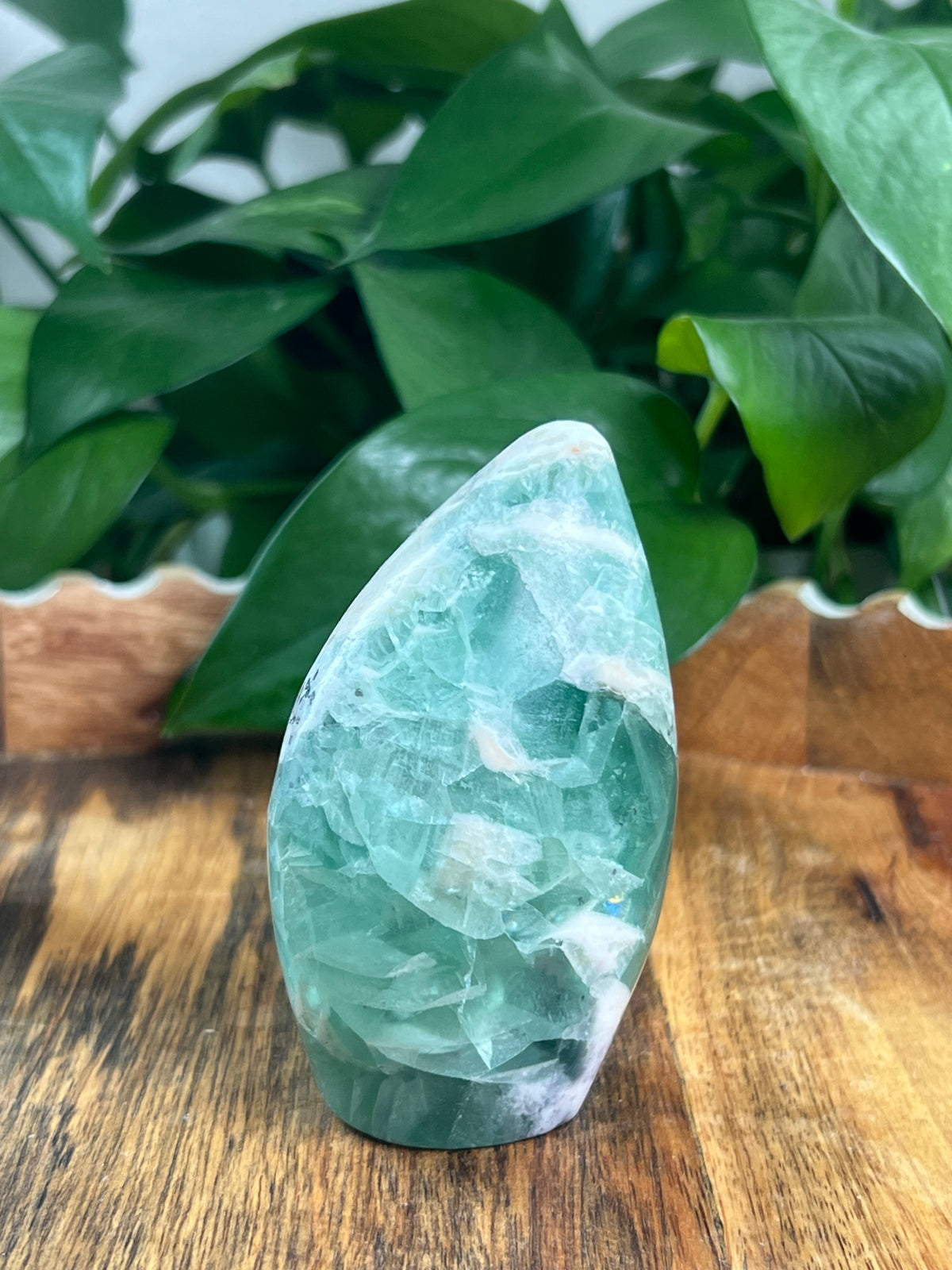 Mexican Flourite Freeform: K