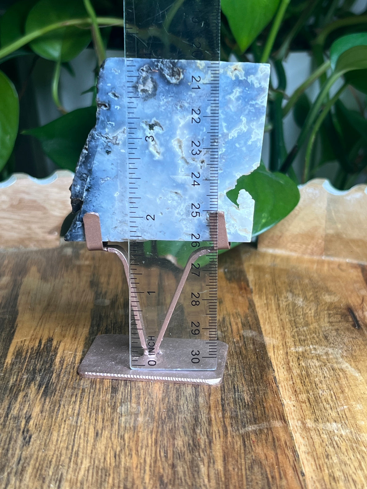 Blue Plume Agate Slab: E