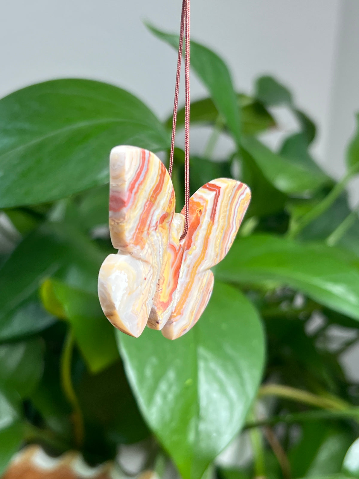 Crazy Lace Agate Ornament Butterfly:  BA