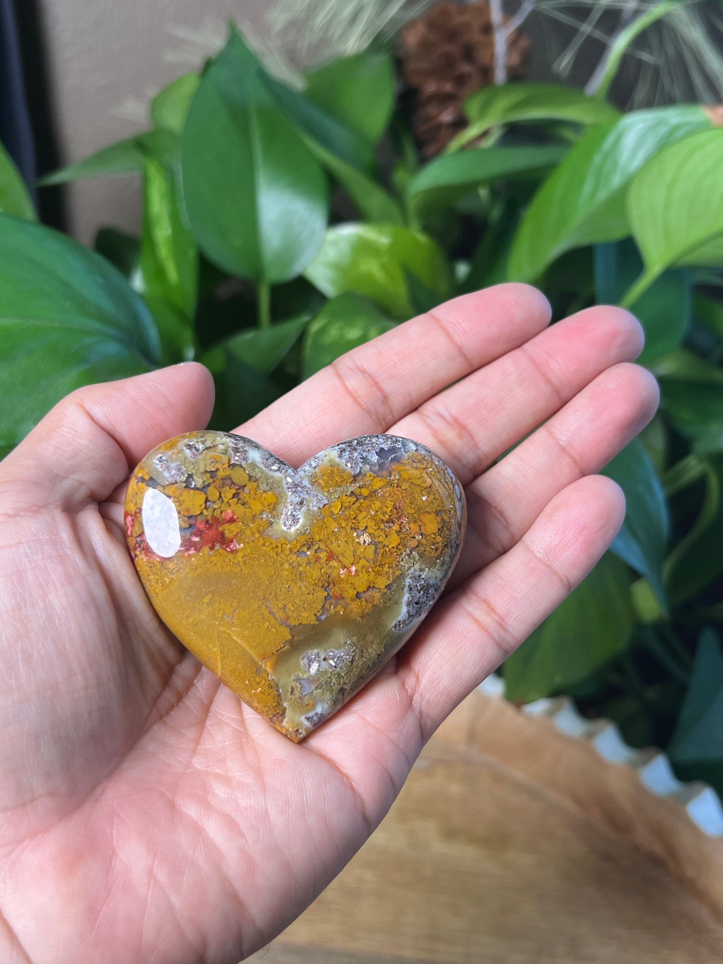 Scenic Moss Agatw Heart
