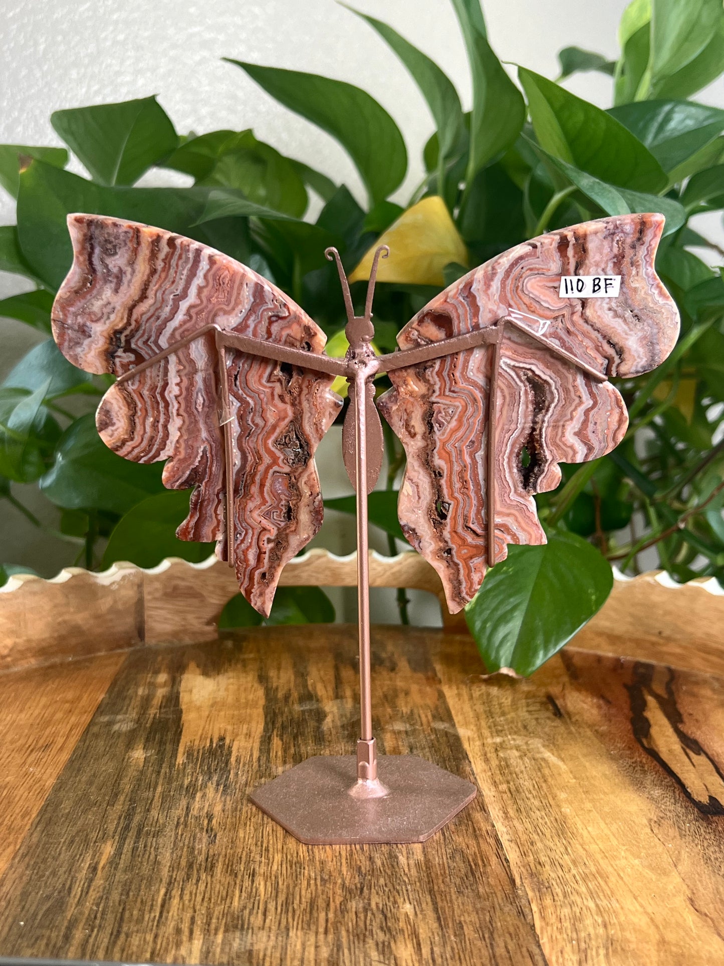 Pink Crazy Lace Agate Wings BF
