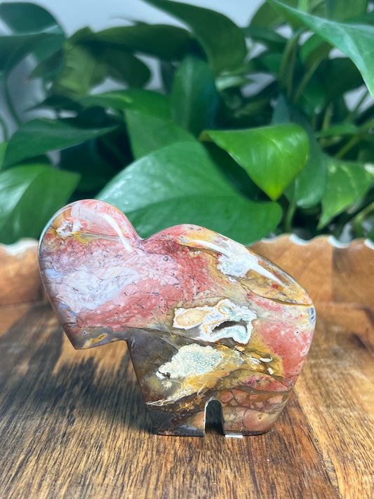 River Jasper Buffalo: RS