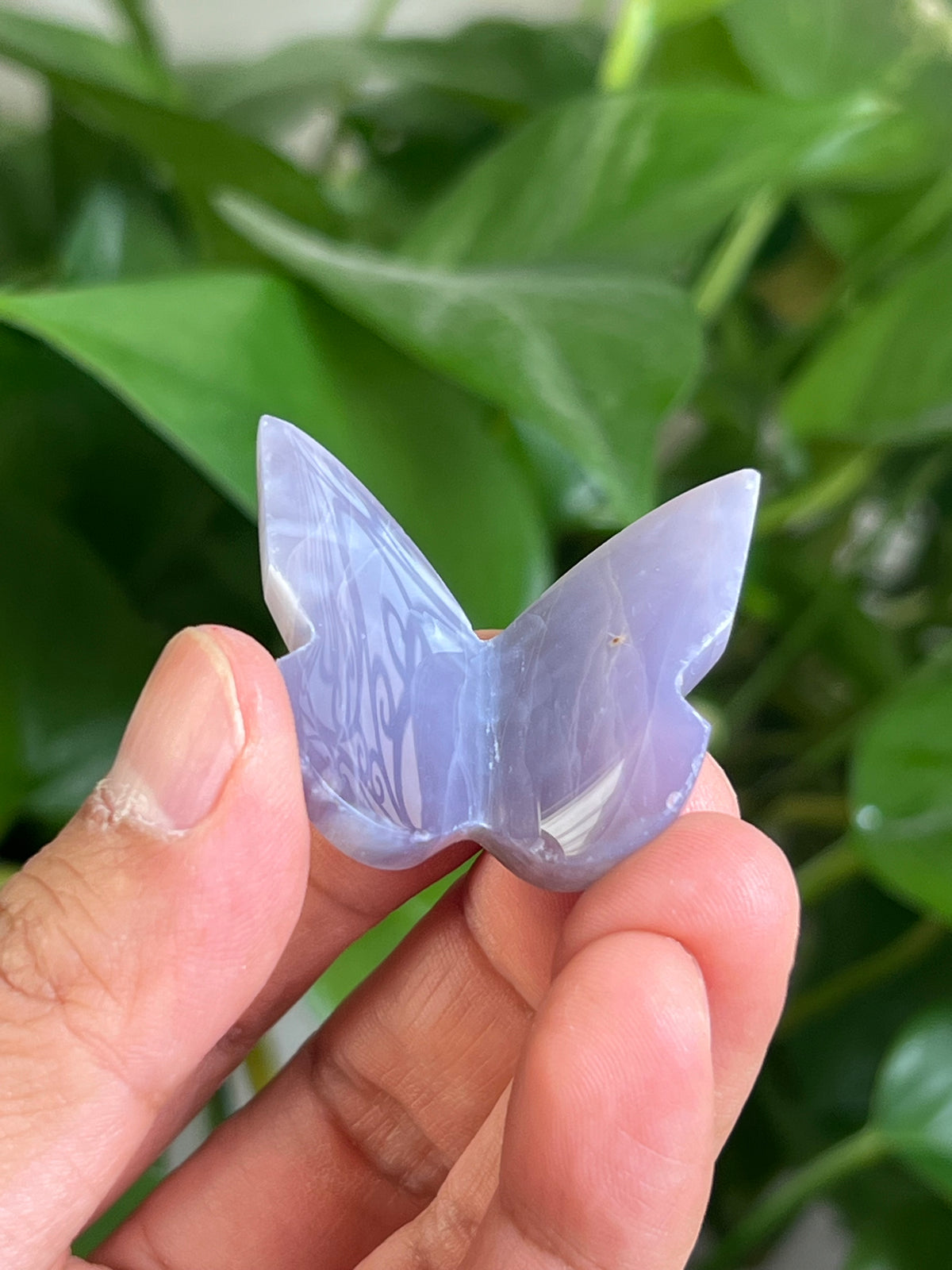 Purple Chalcedony 3D Mini Butterfly: VF