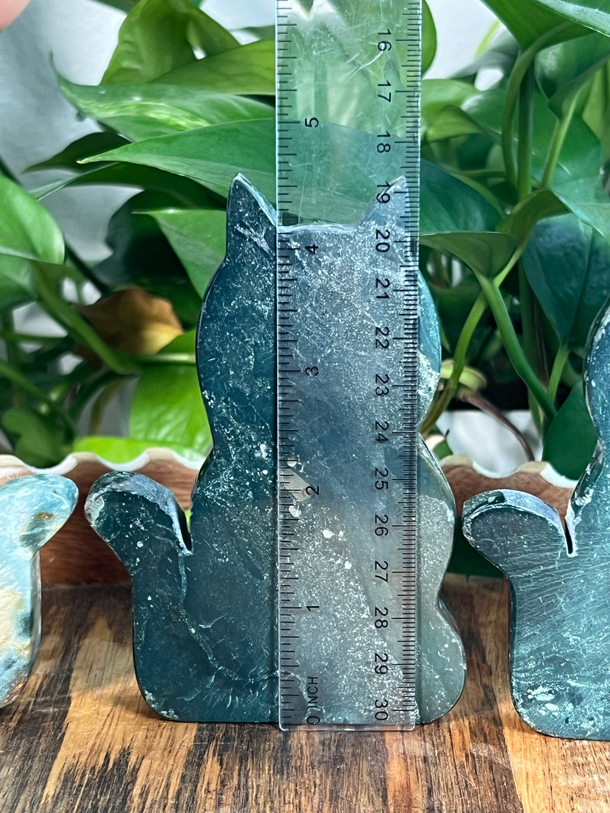Blue Green Jasper Cats