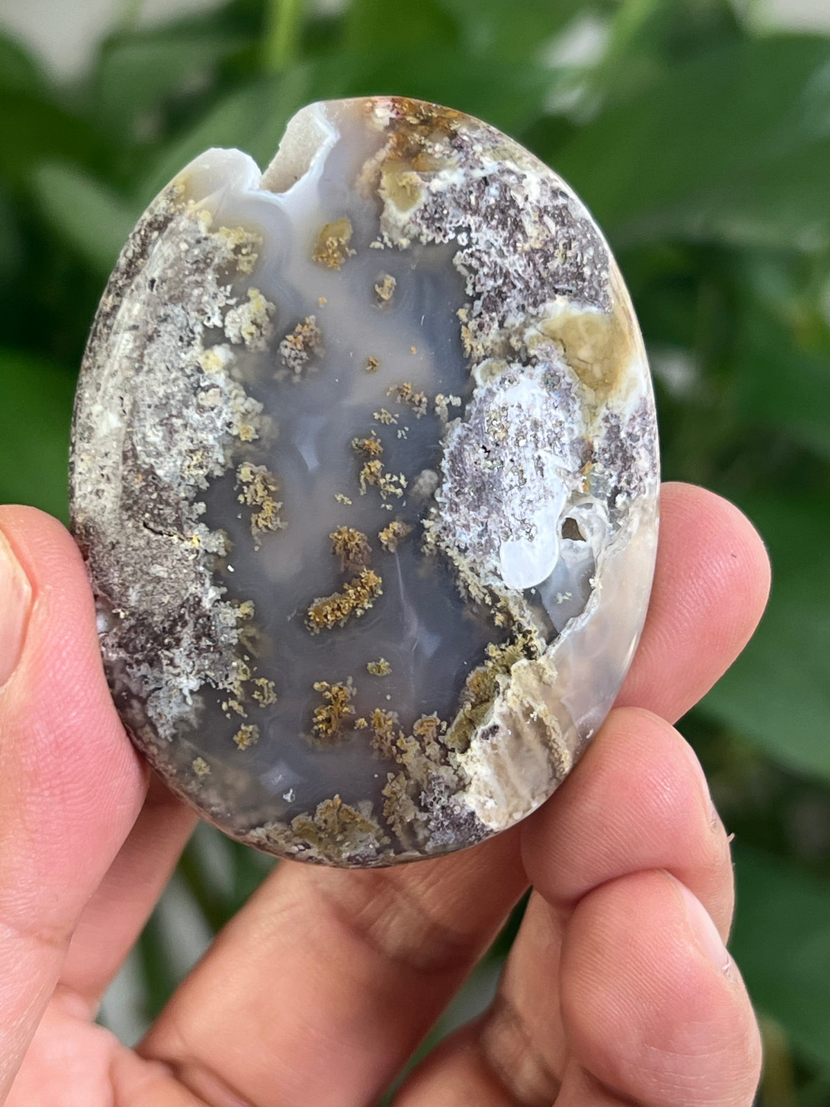 Scenic Moss Agate Palmstone: CH