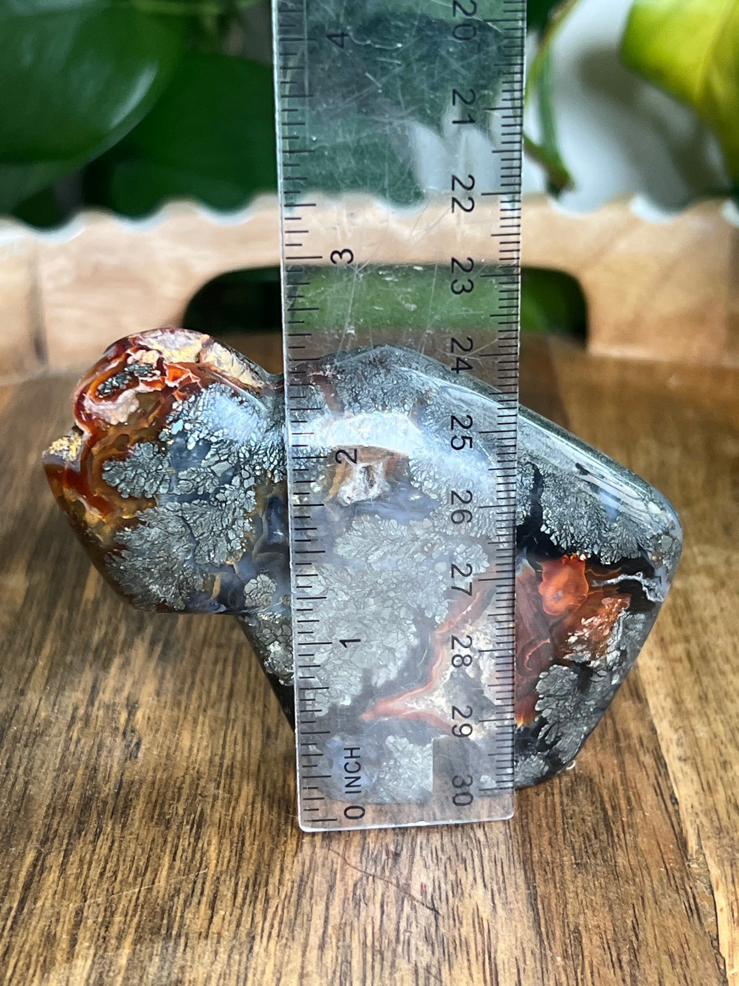 Marcasite Buffalo