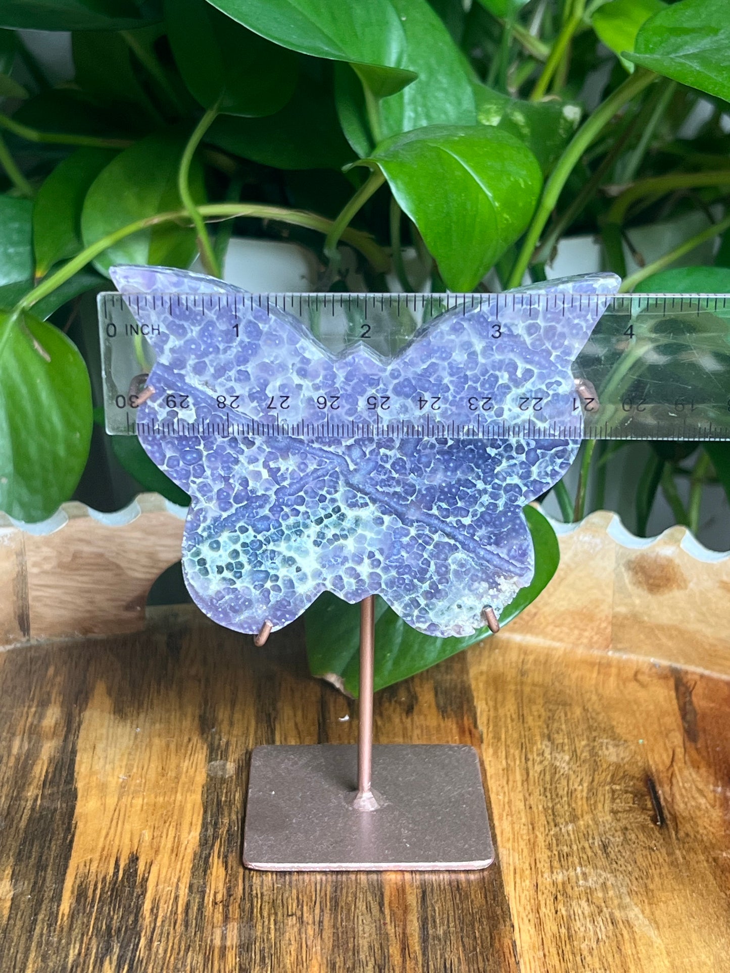 Grape Agate Butterfly: AZ