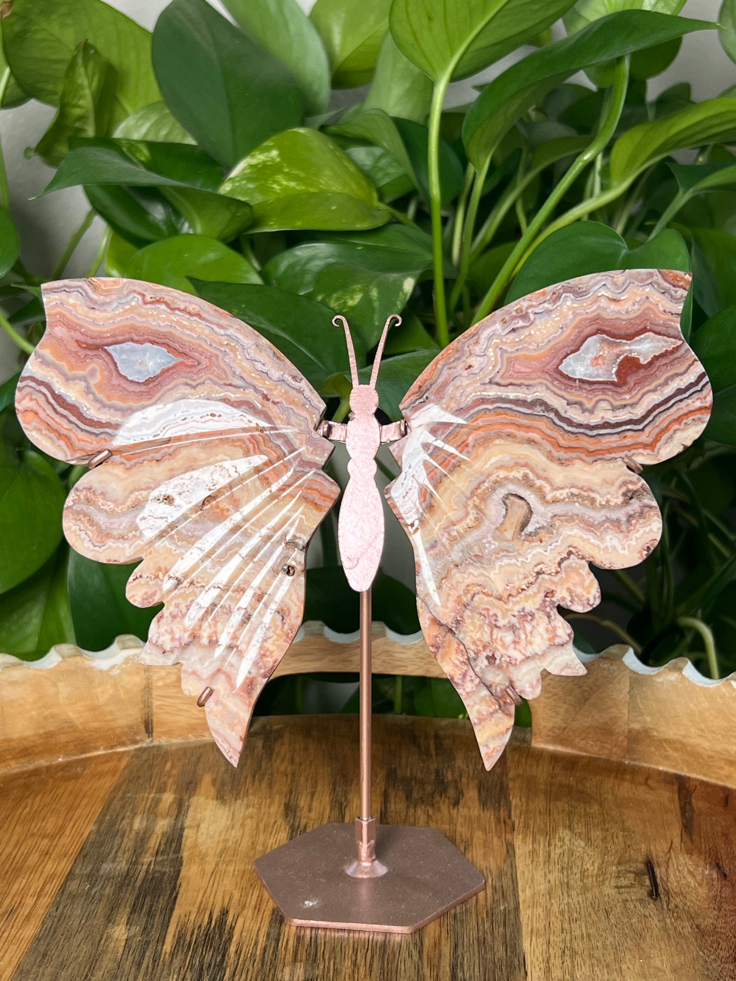 Crazy Lace Agate Wings