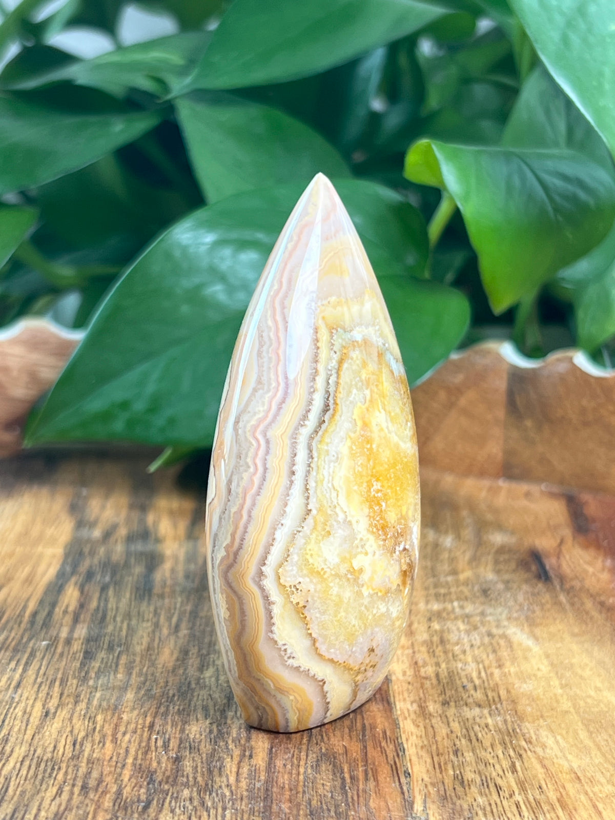 Crazy Lace Agate Flame: BG