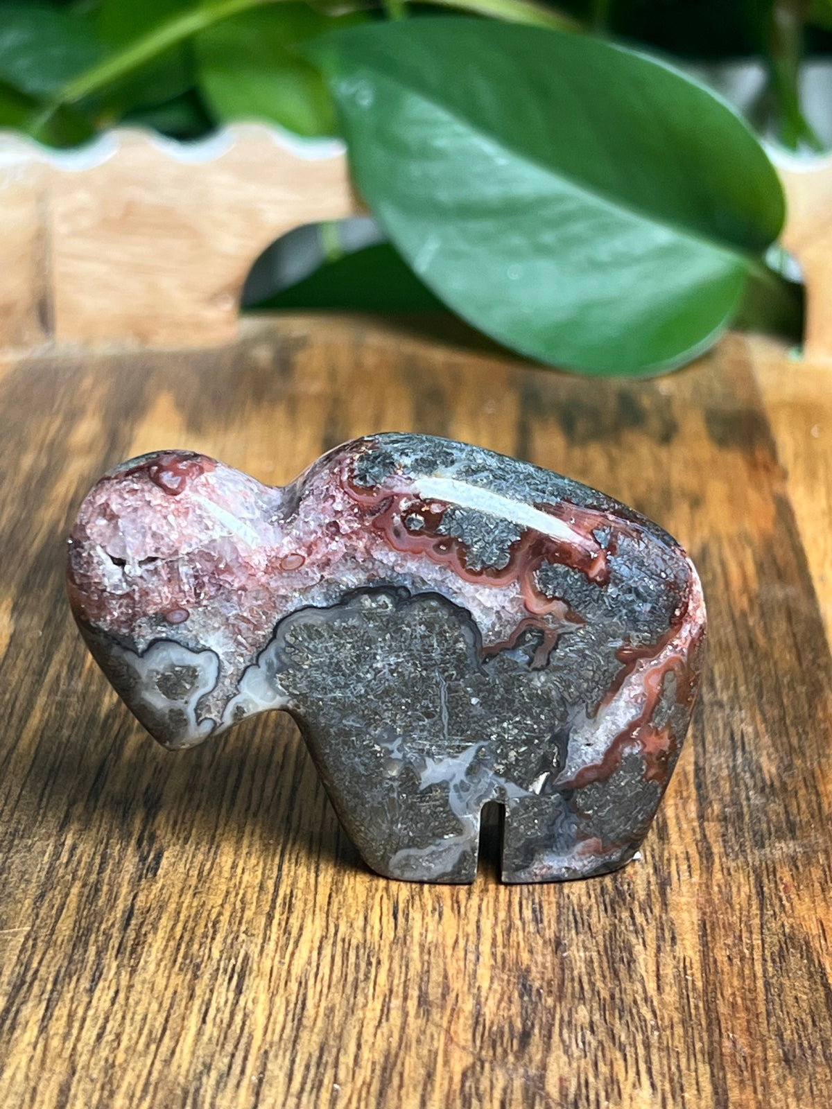 Marcasite Mini Buffalo: MN