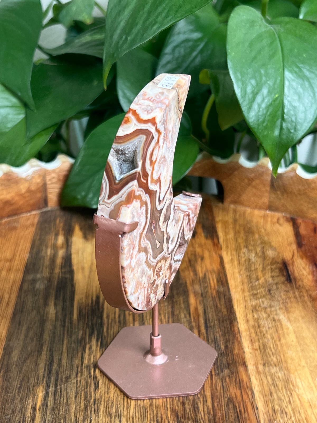 Crazy Lace Agate Moon: PB