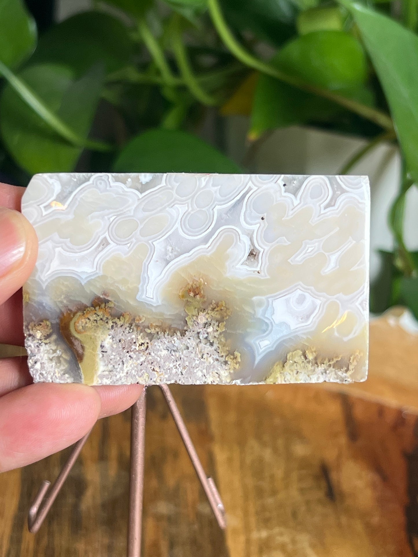 Scenic Moss Agate Mini Slab