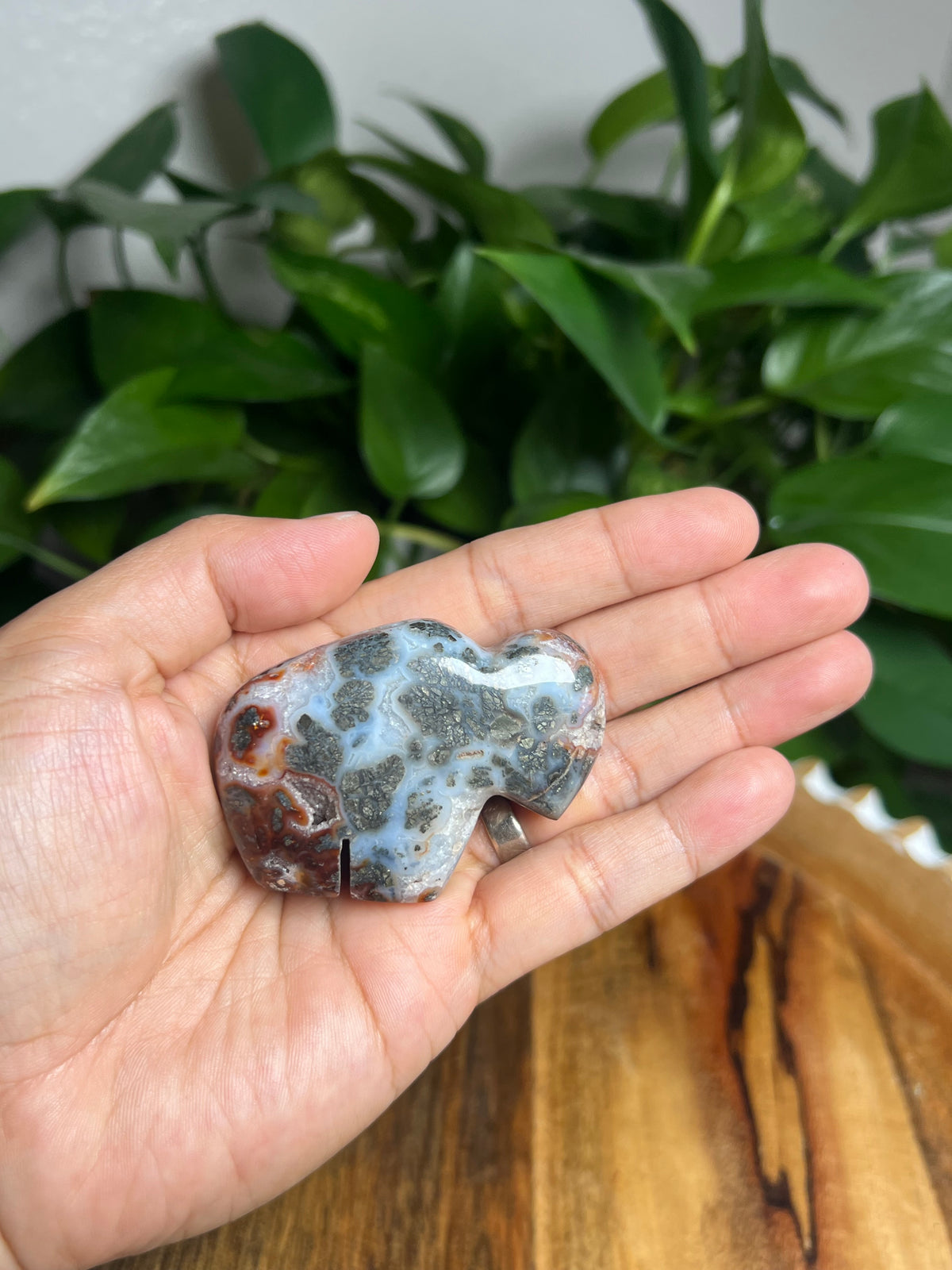 Marcasite Mini Buffalo: Mi