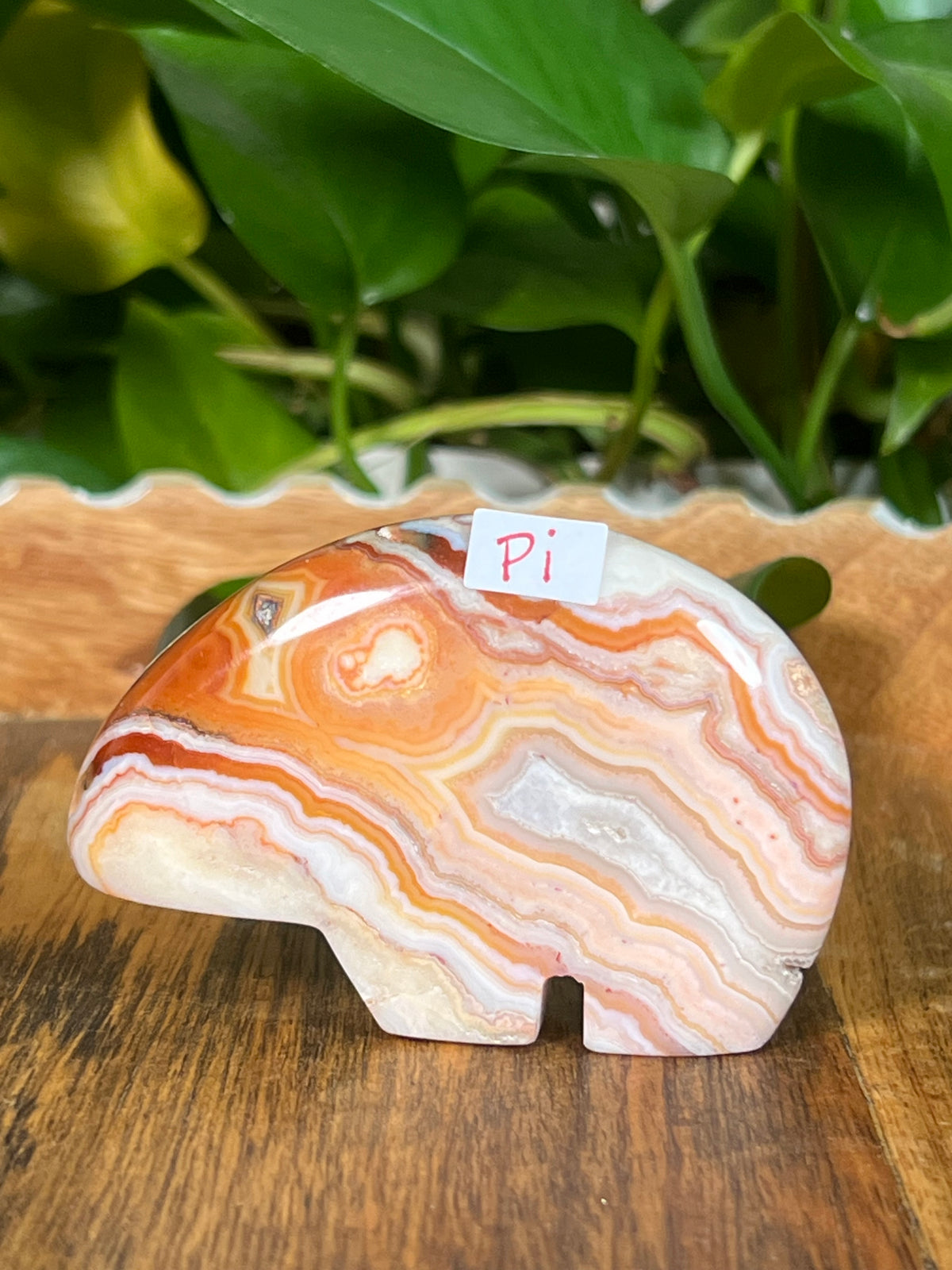 Crazy Lace Agate Bears