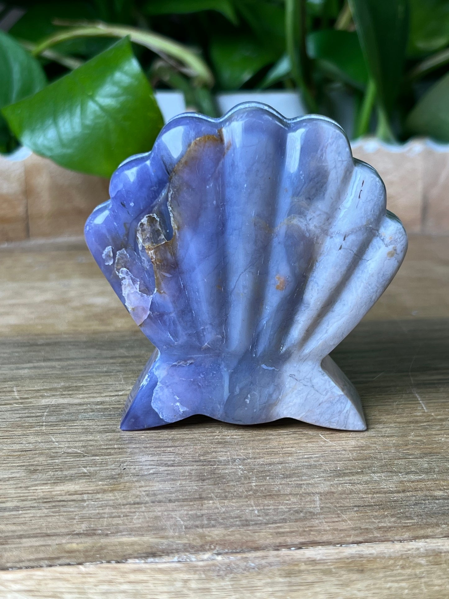 Purple Chalcedony Shell