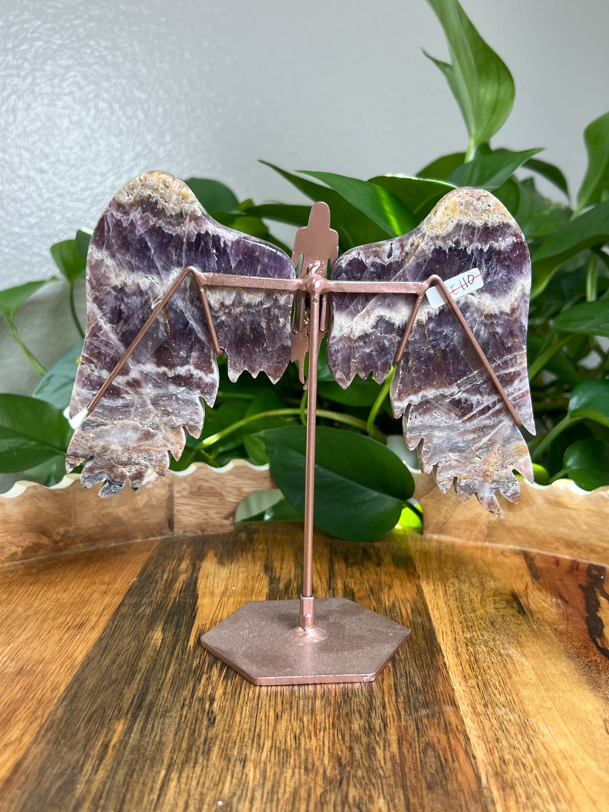 Indonesian Amethyst Wings: SE