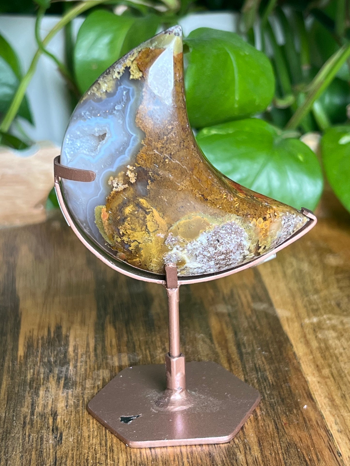 Scenic Moss Agate Moon