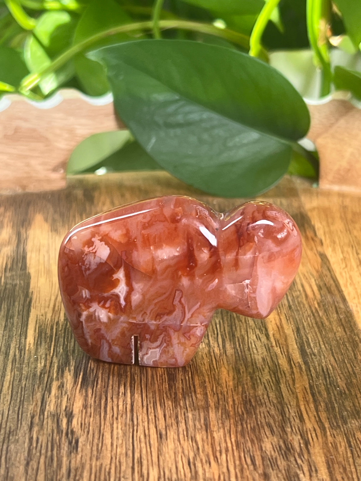 Carnelian Mini Buffalo: BC