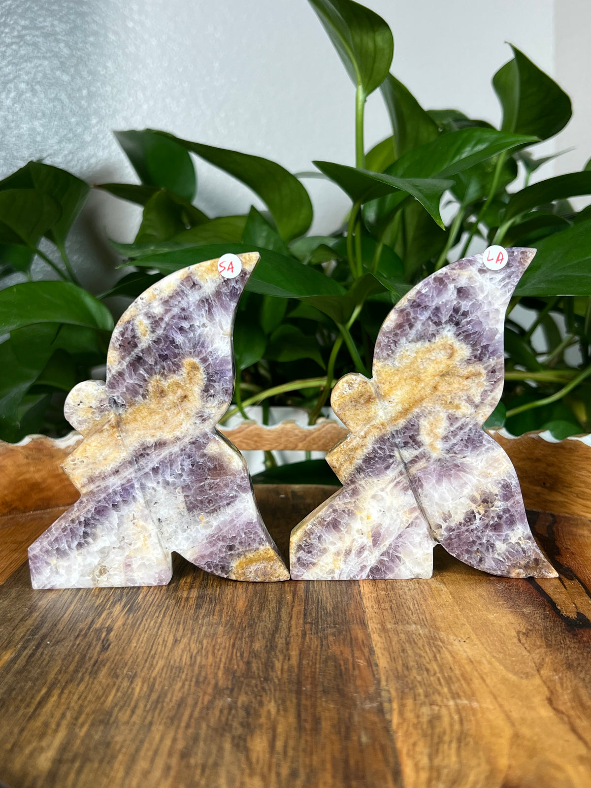Indonesian Amethyst Fairies