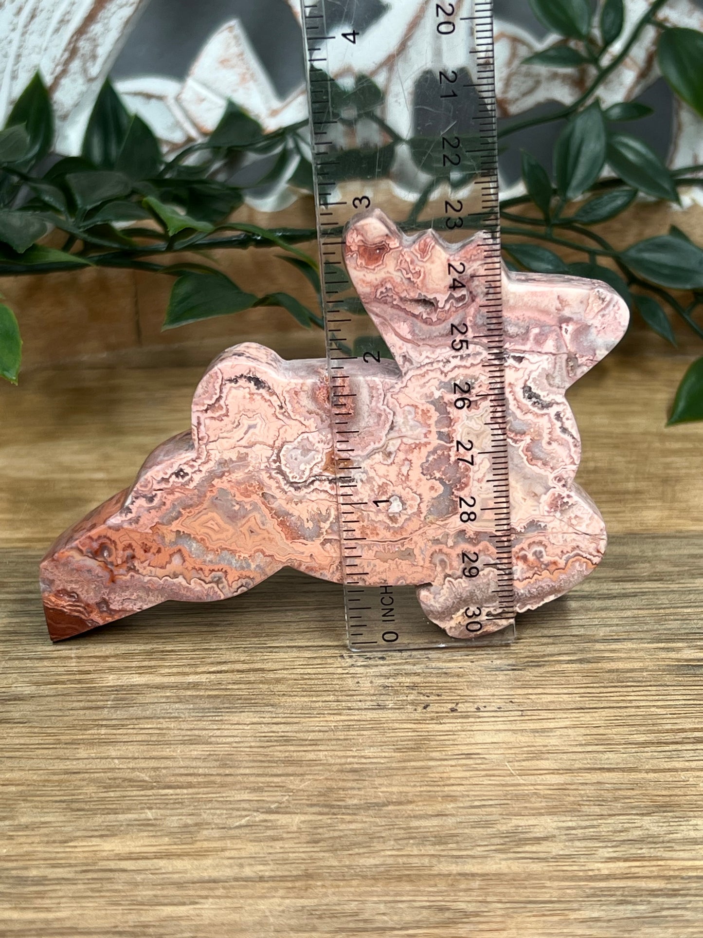 Pink Crazy Lace Agate Deer