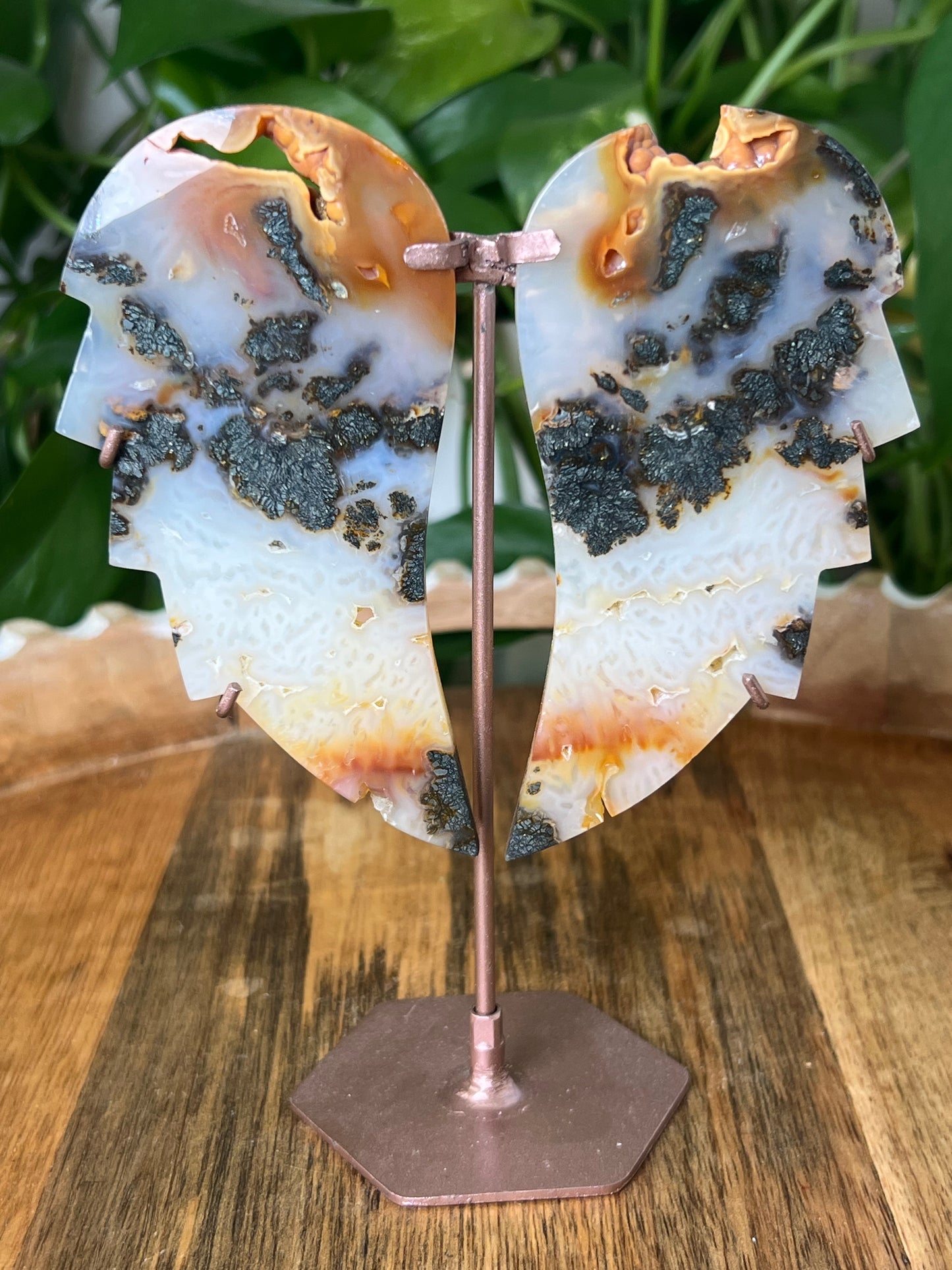 Marcasite Wings