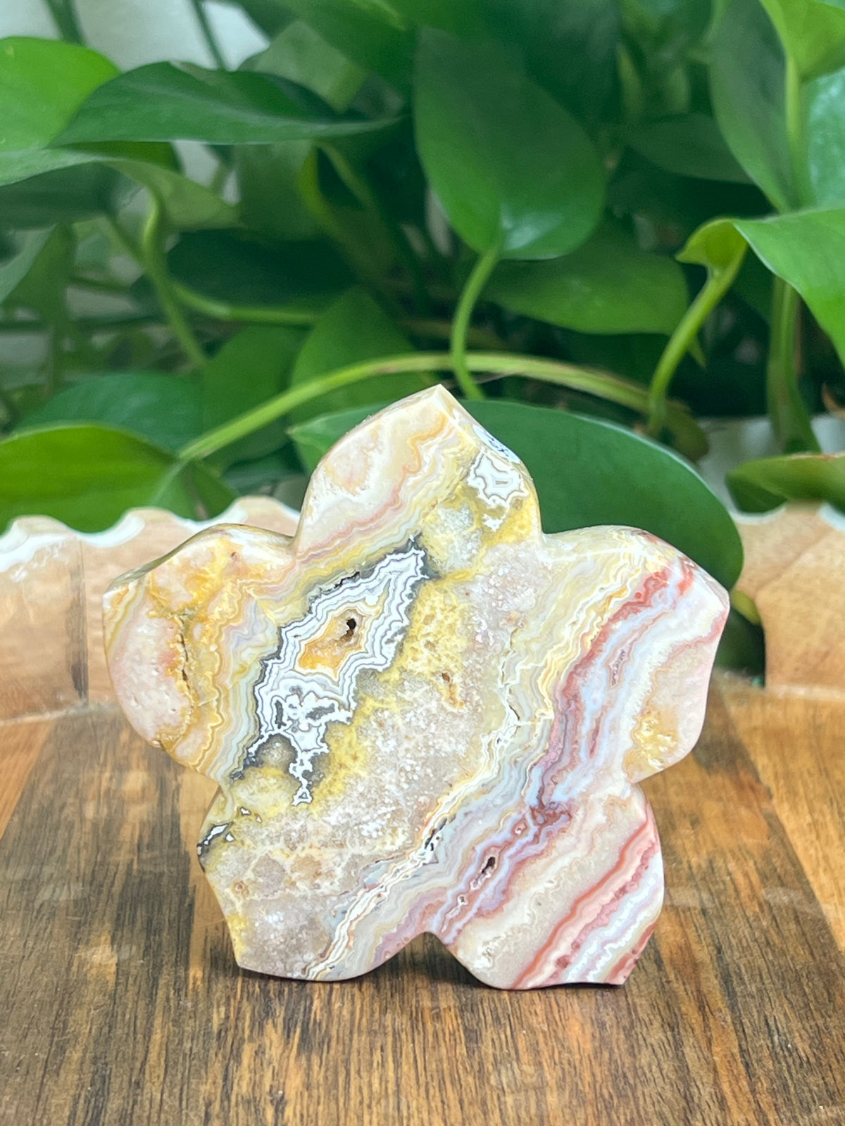 Crazy Lace Agate Flower: CK