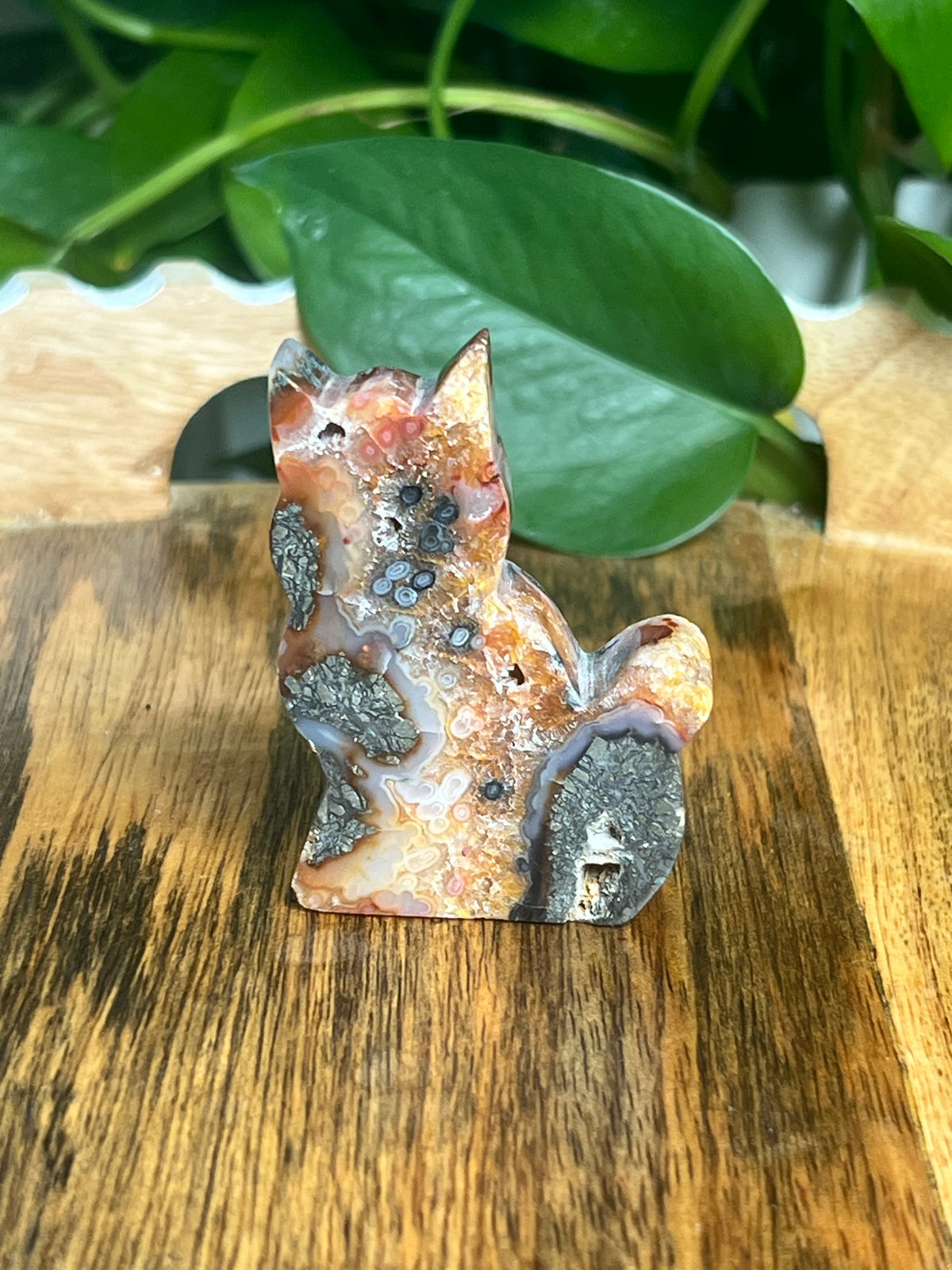 Marcasite Cat: XF