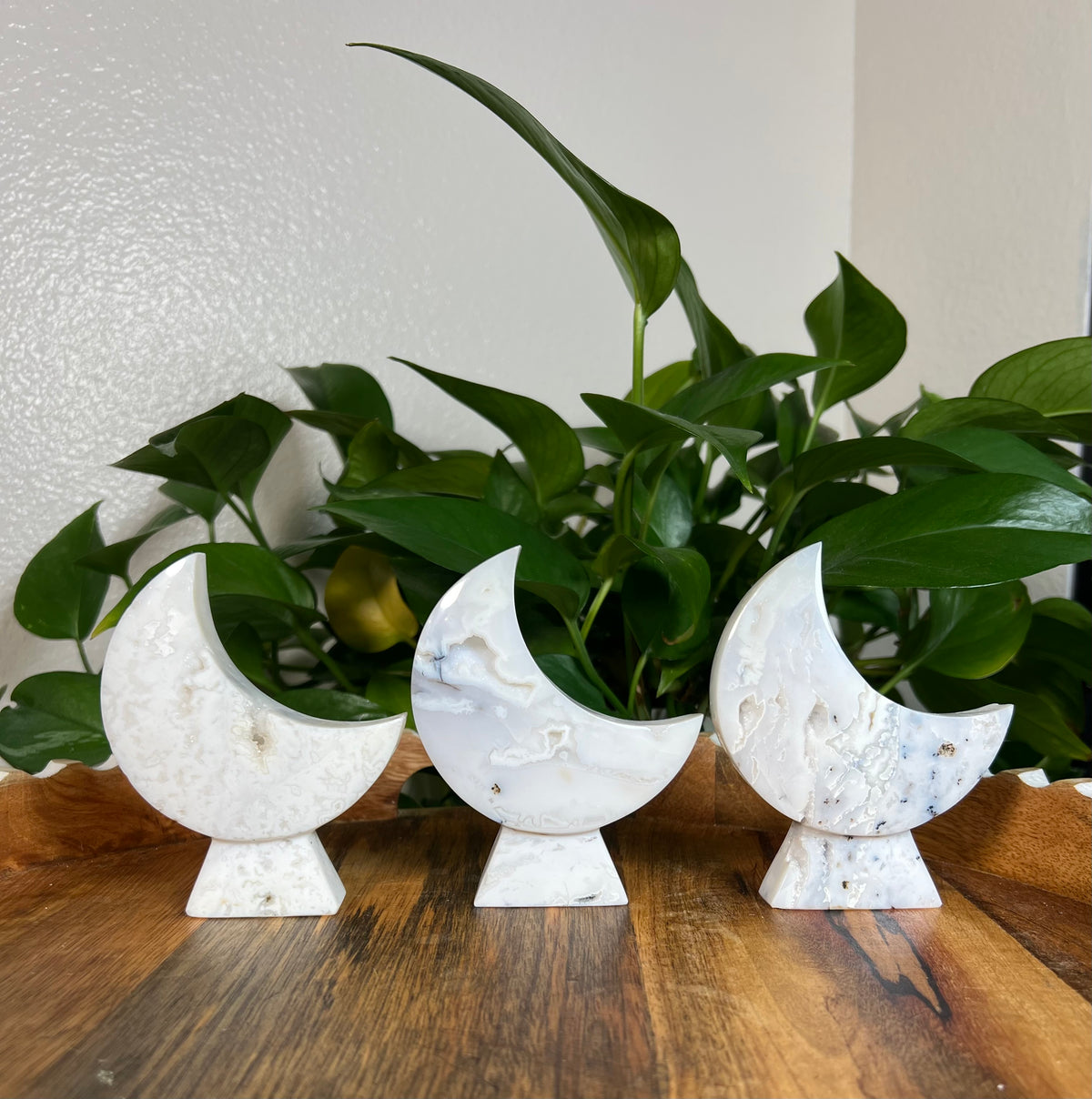 White Plume Agate Self Standing Moons