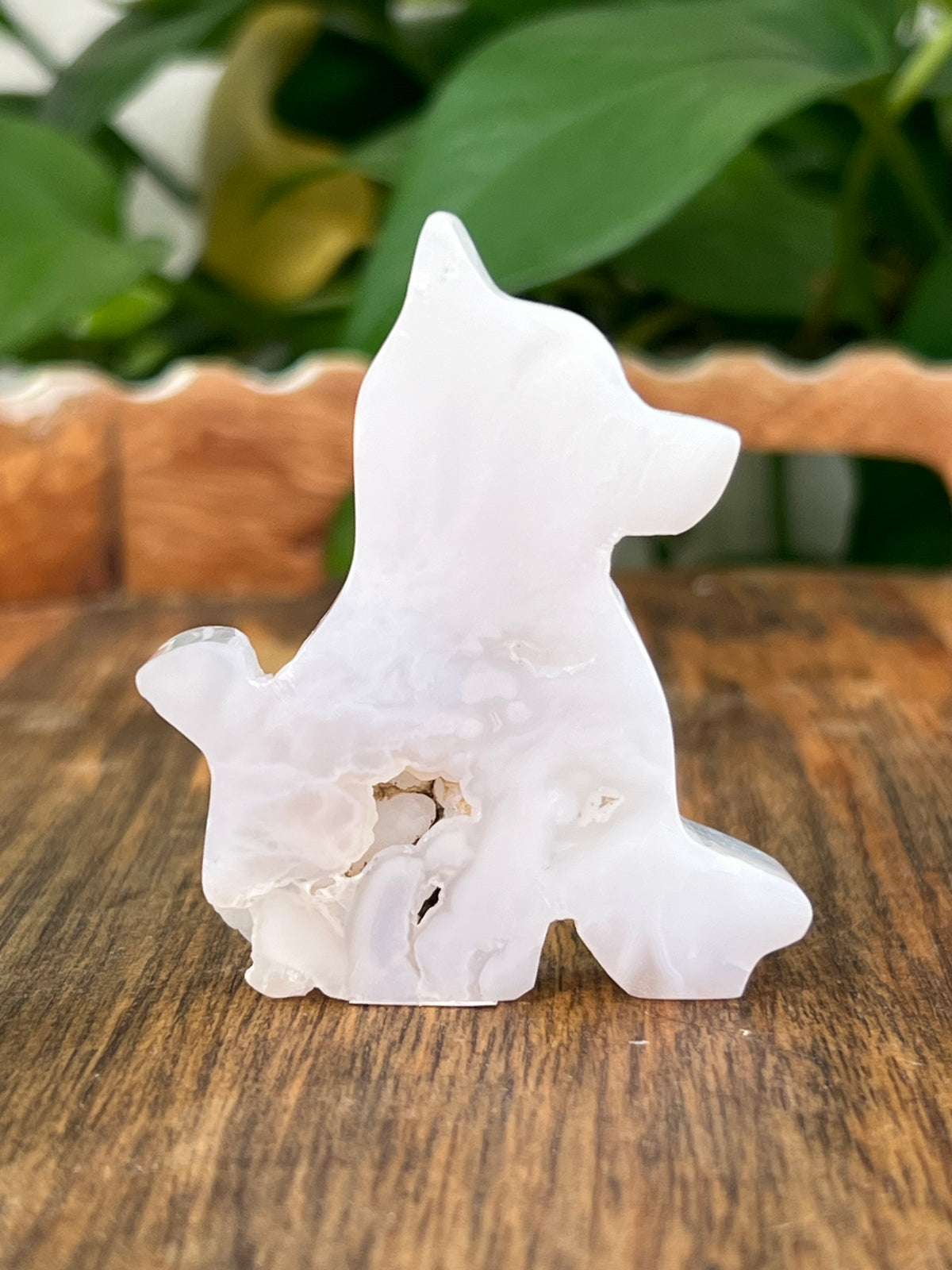 White Plume Agate Dogs