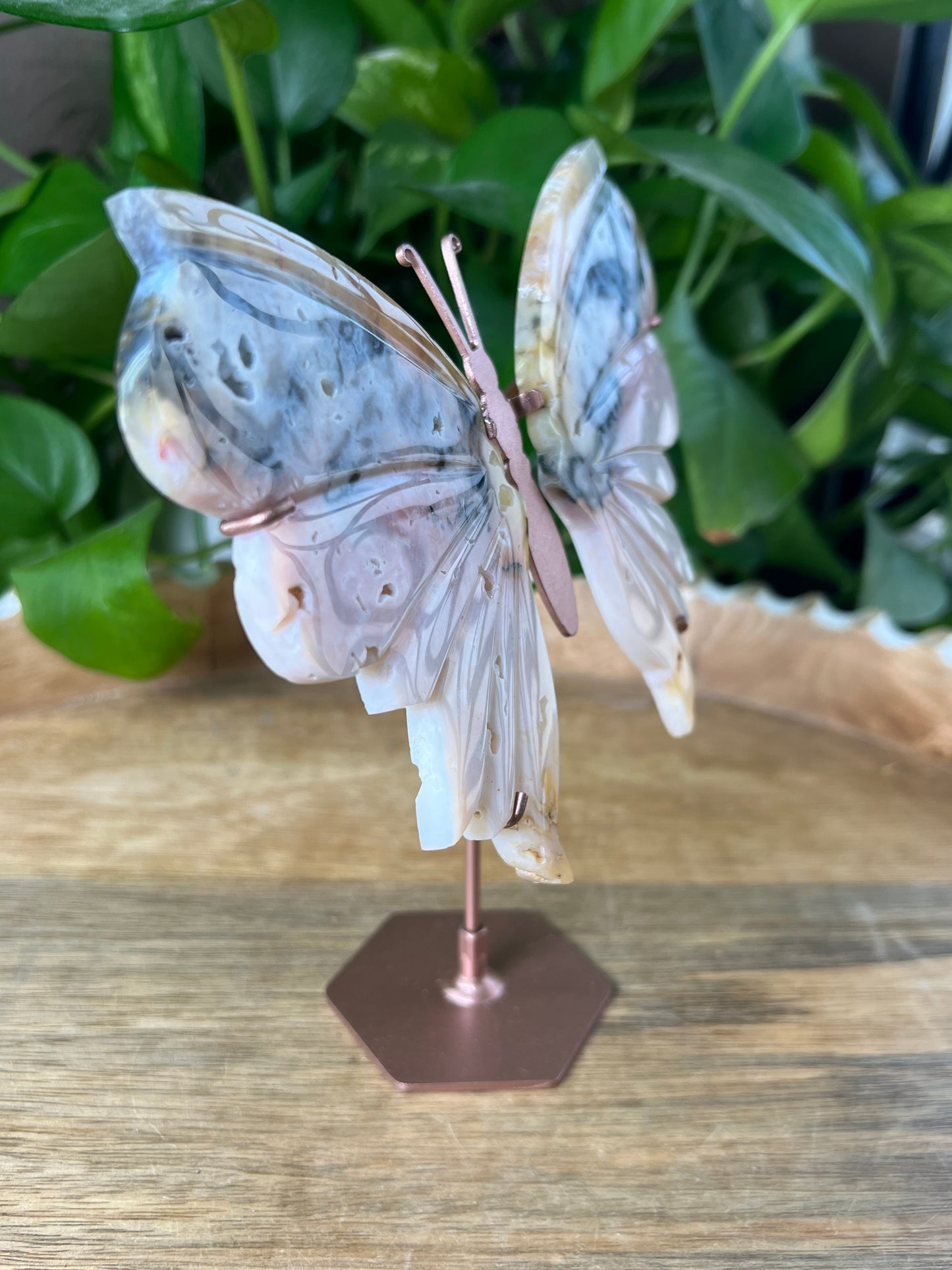 Rainbow Plume Agate Wings