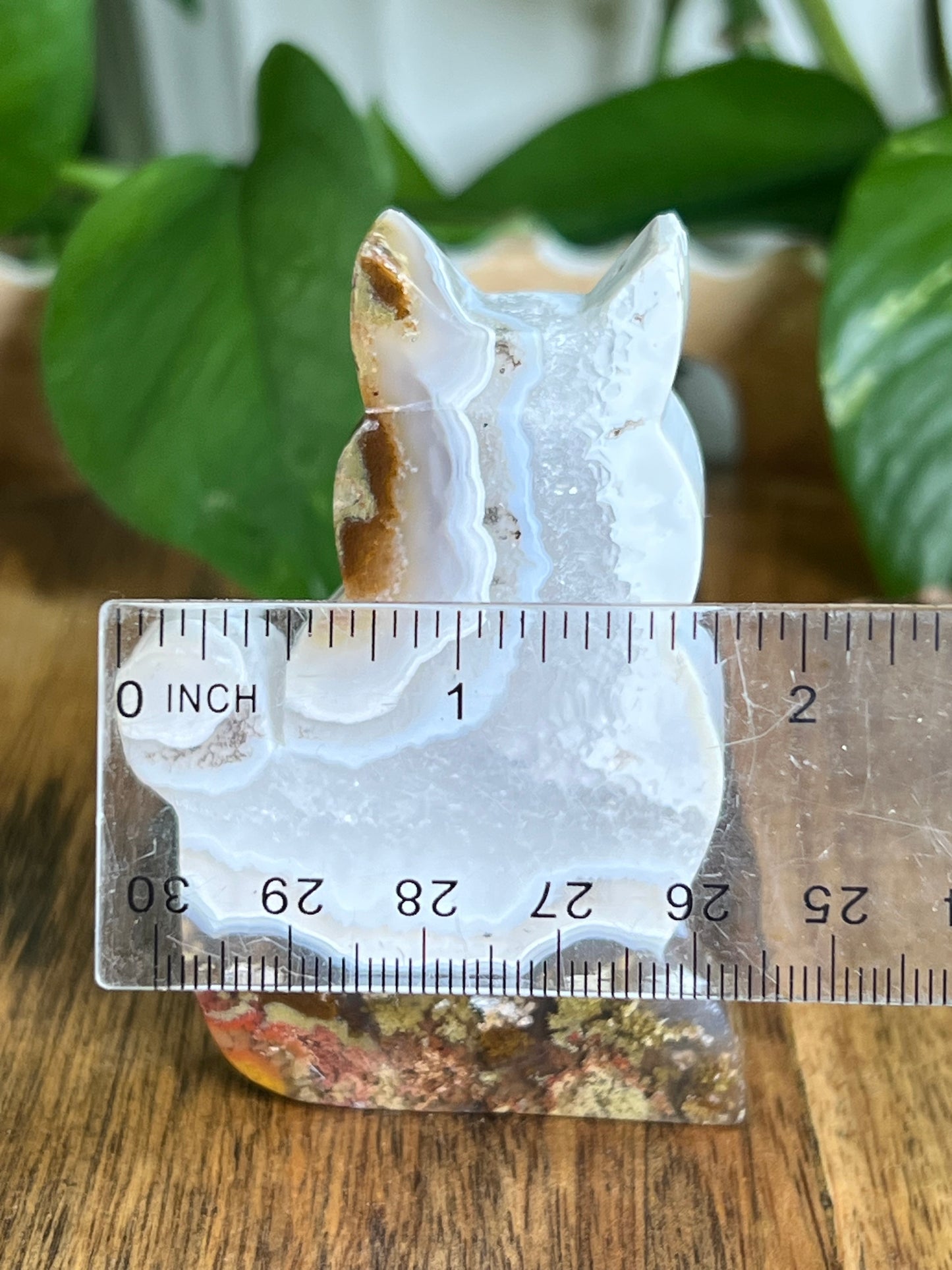 Scenic Moss Agate Cat HU