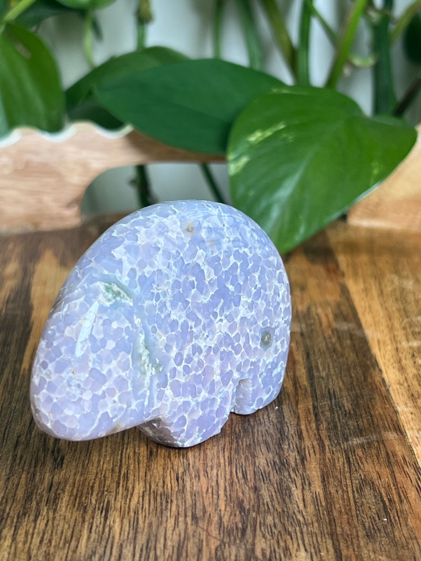 Grape Agate Bear: LM