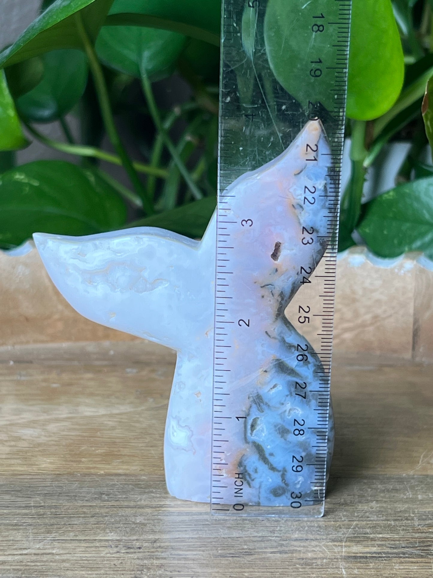 Rainbow Plume Agate Tail: RG