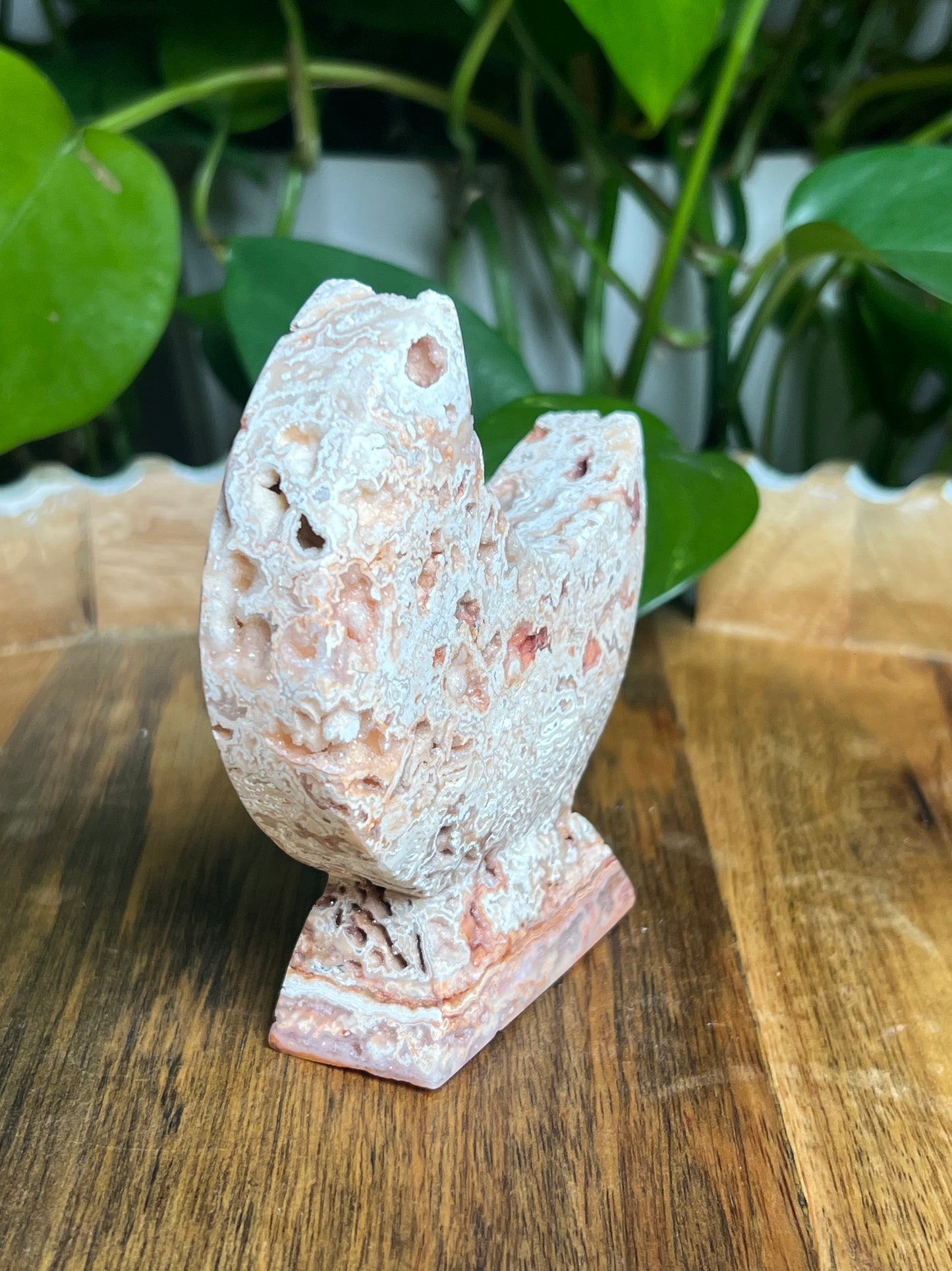 Crazy Lace Agate Self-Standing Moon: T