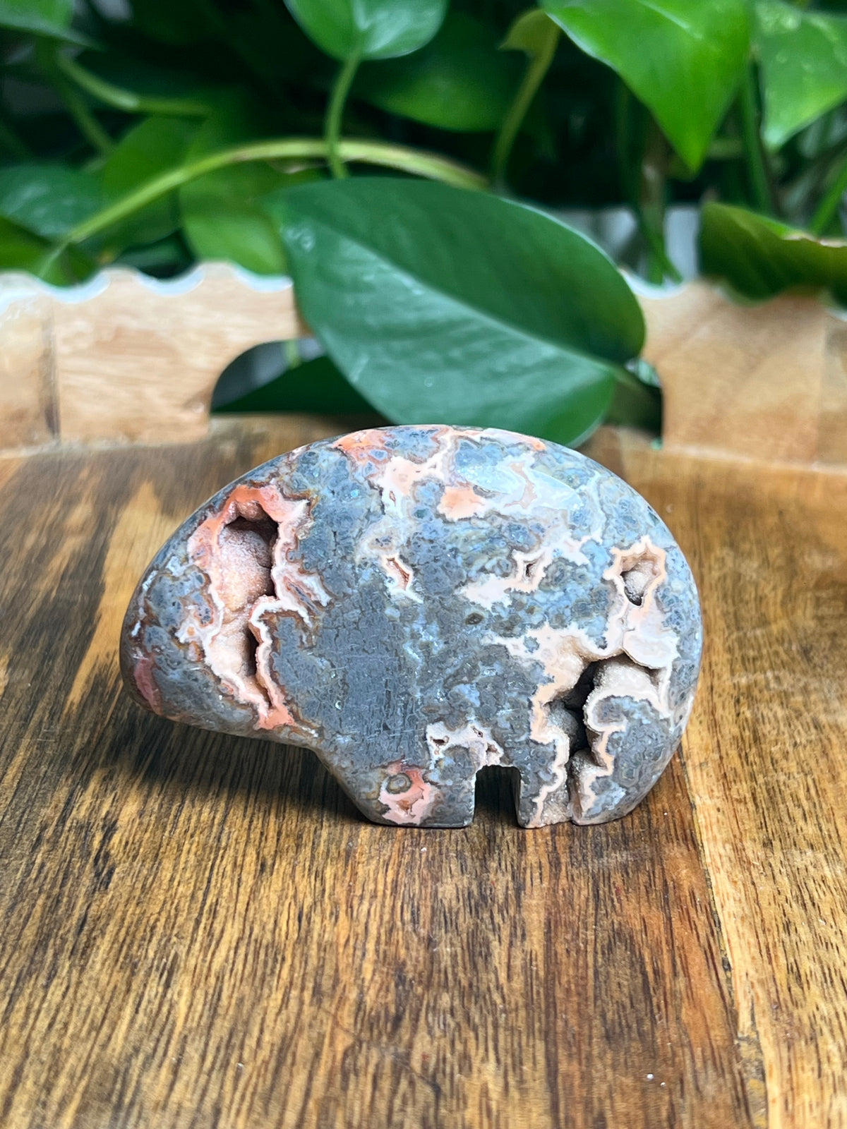 Marcasite Bear: TK